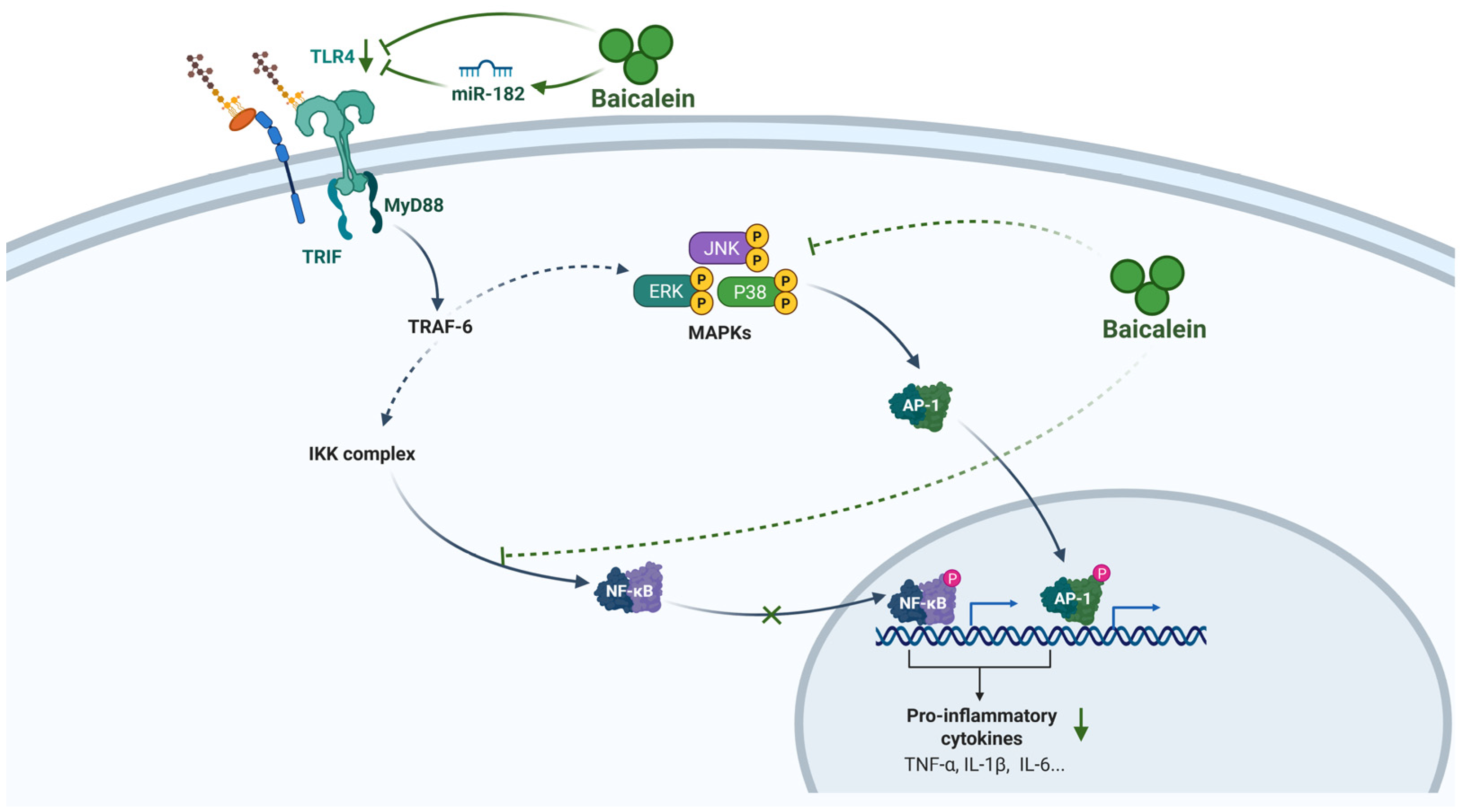 Biomolecules 16 00151 g002 Biomolecules 16 00151 g002