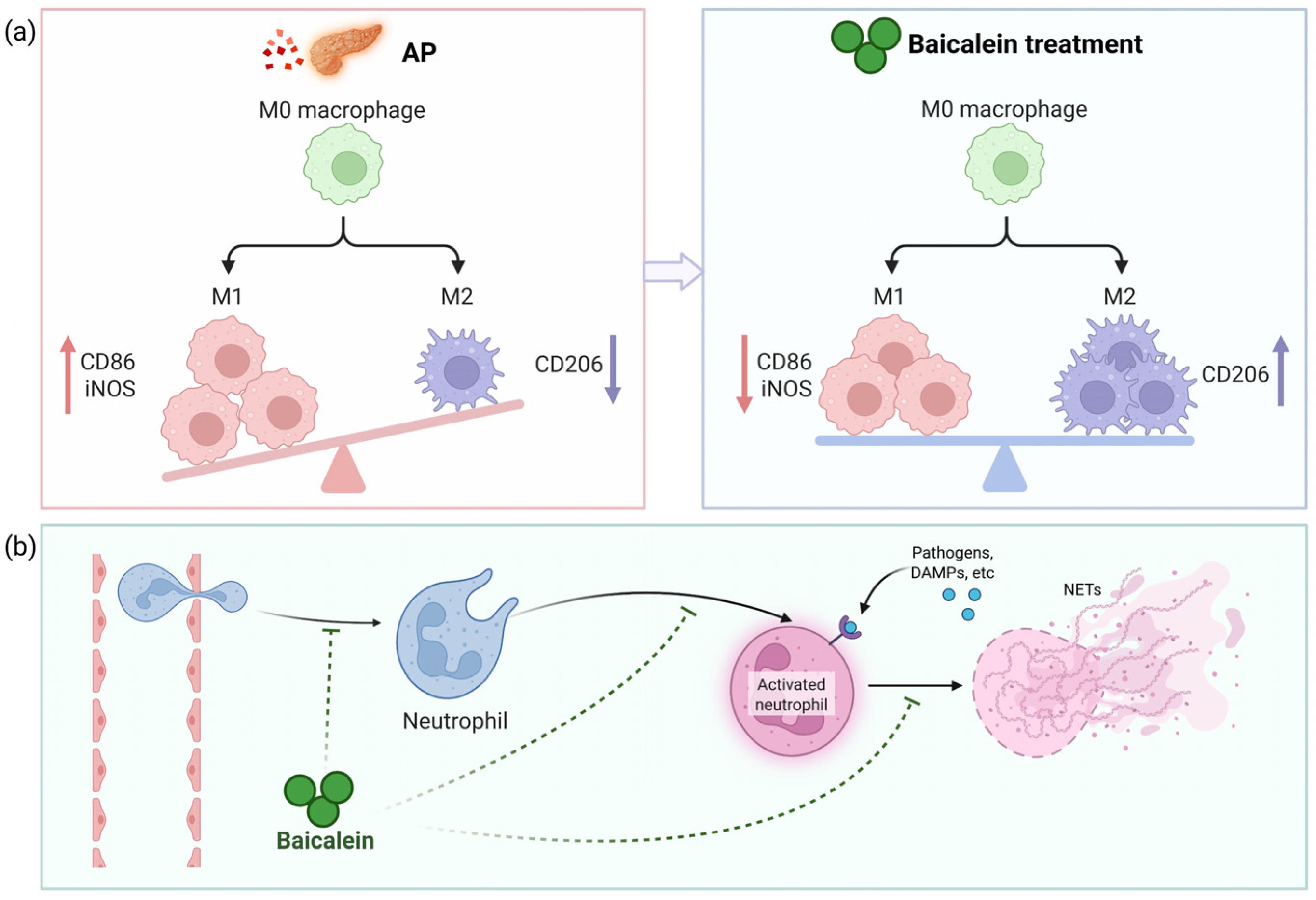 Biomolecules 16 00151 g003 Biomolecules 16 00151 g003