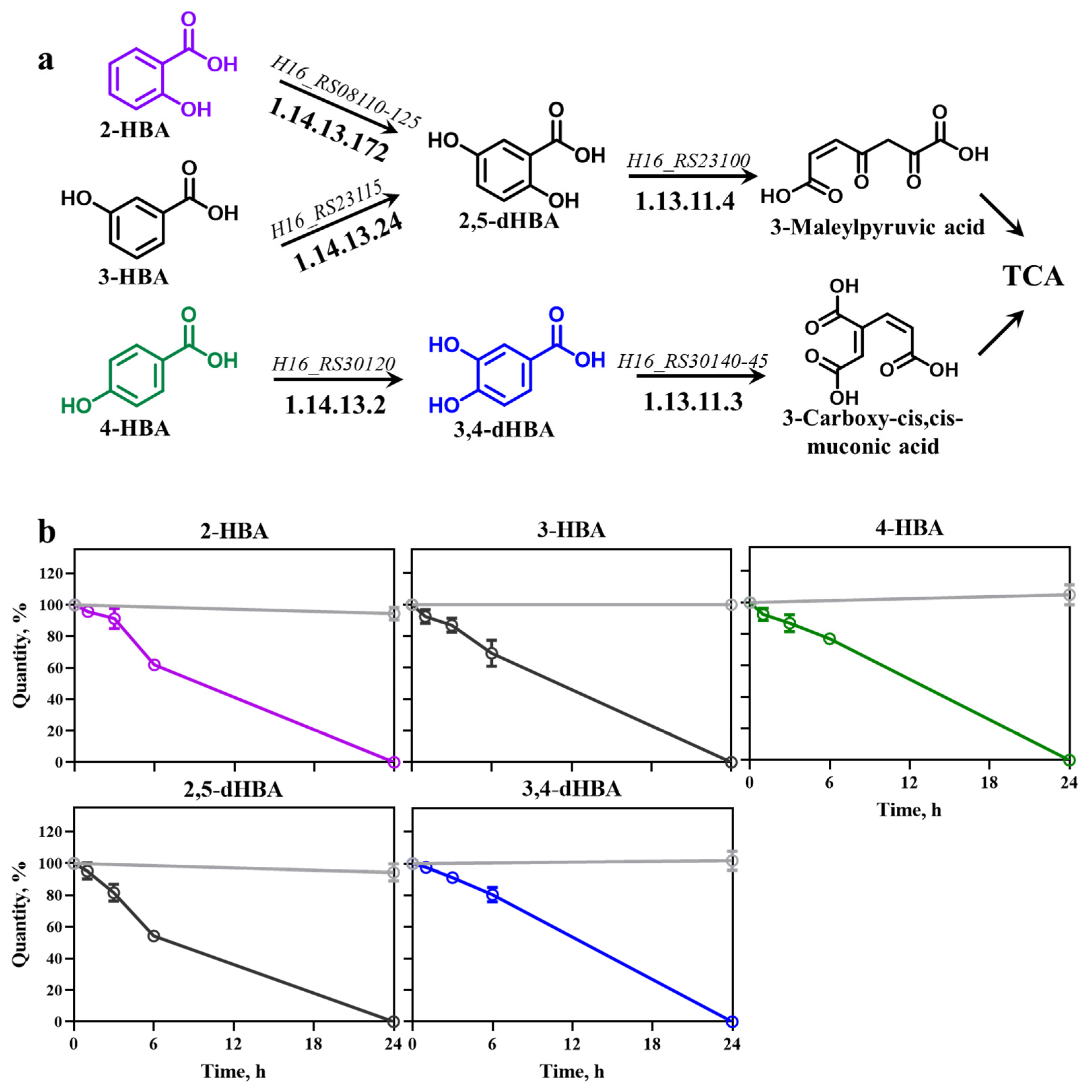 Biomolecules 16 00157 g001 Biomolecules 16 00157 g001