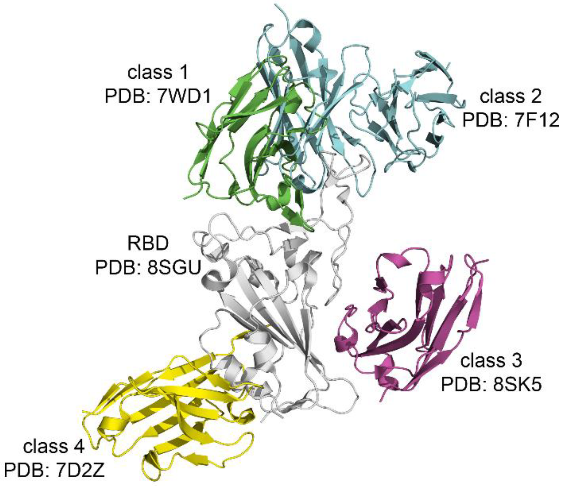 Biomolecules 16 00163 g004 Biomolecules 16 00163 g004