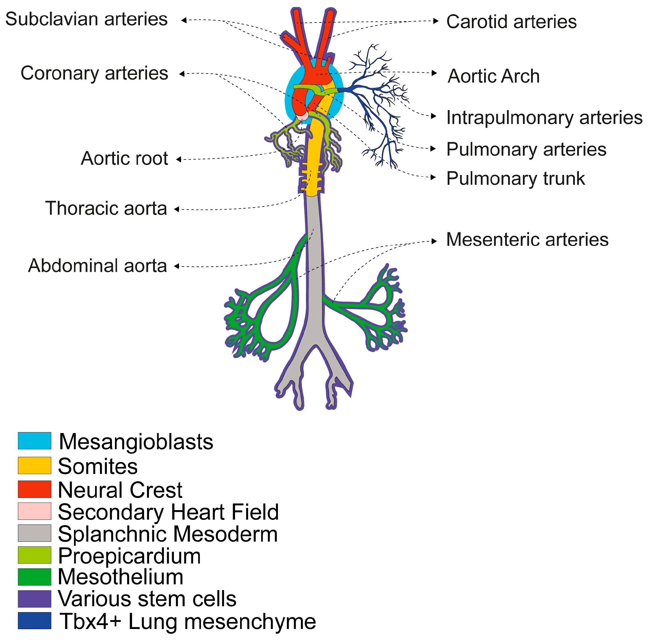 Biomolecules 16 00173 g001