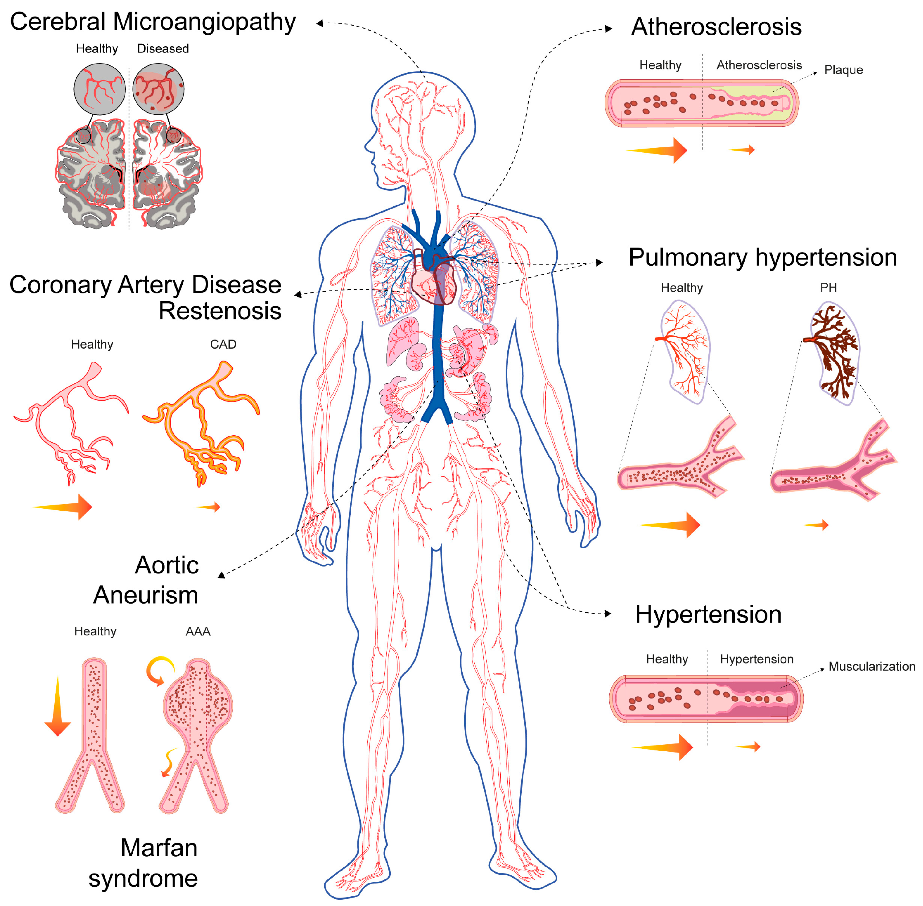 Biomolecules 16 00173 g003