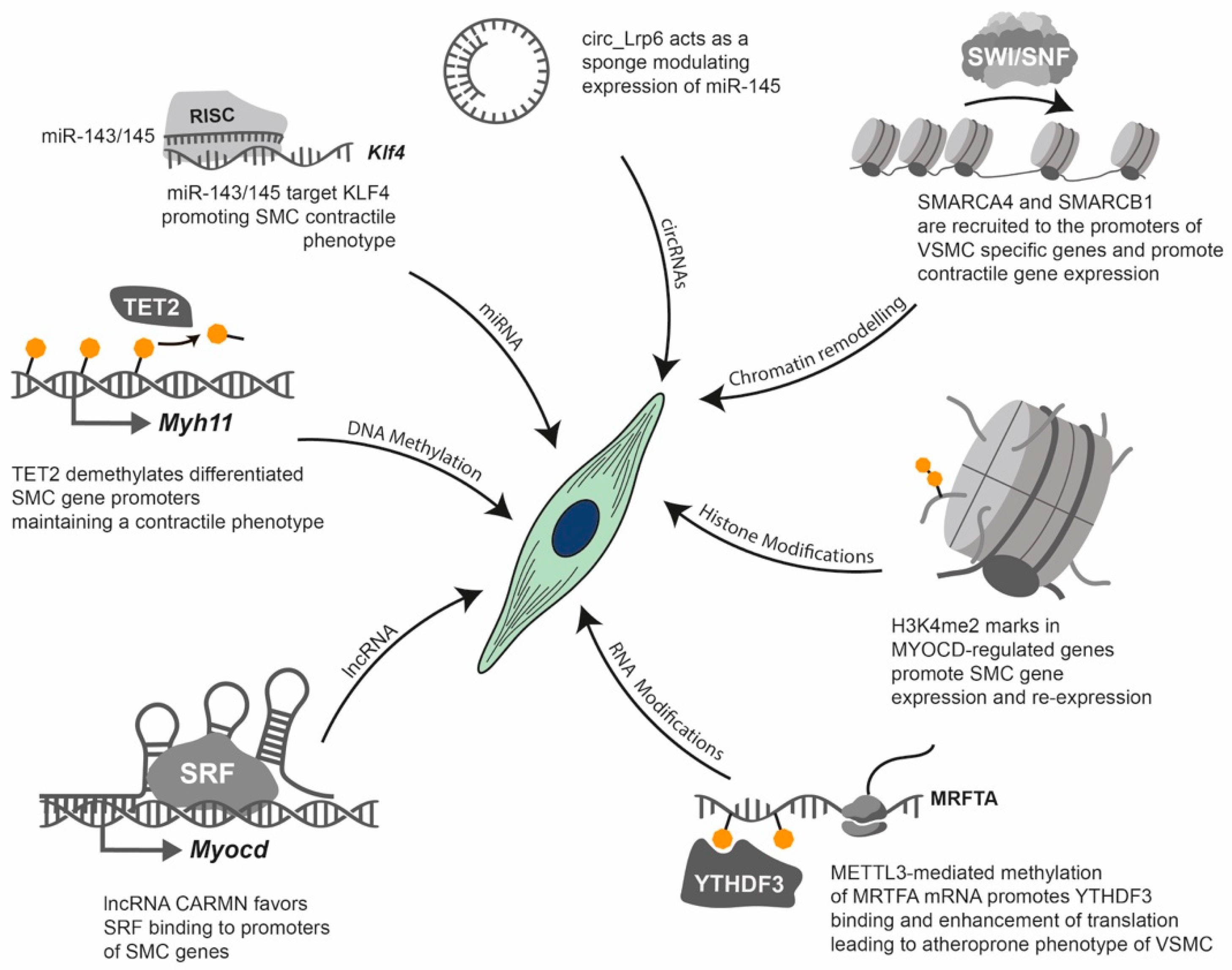 Biomolecules 16 00173 g005