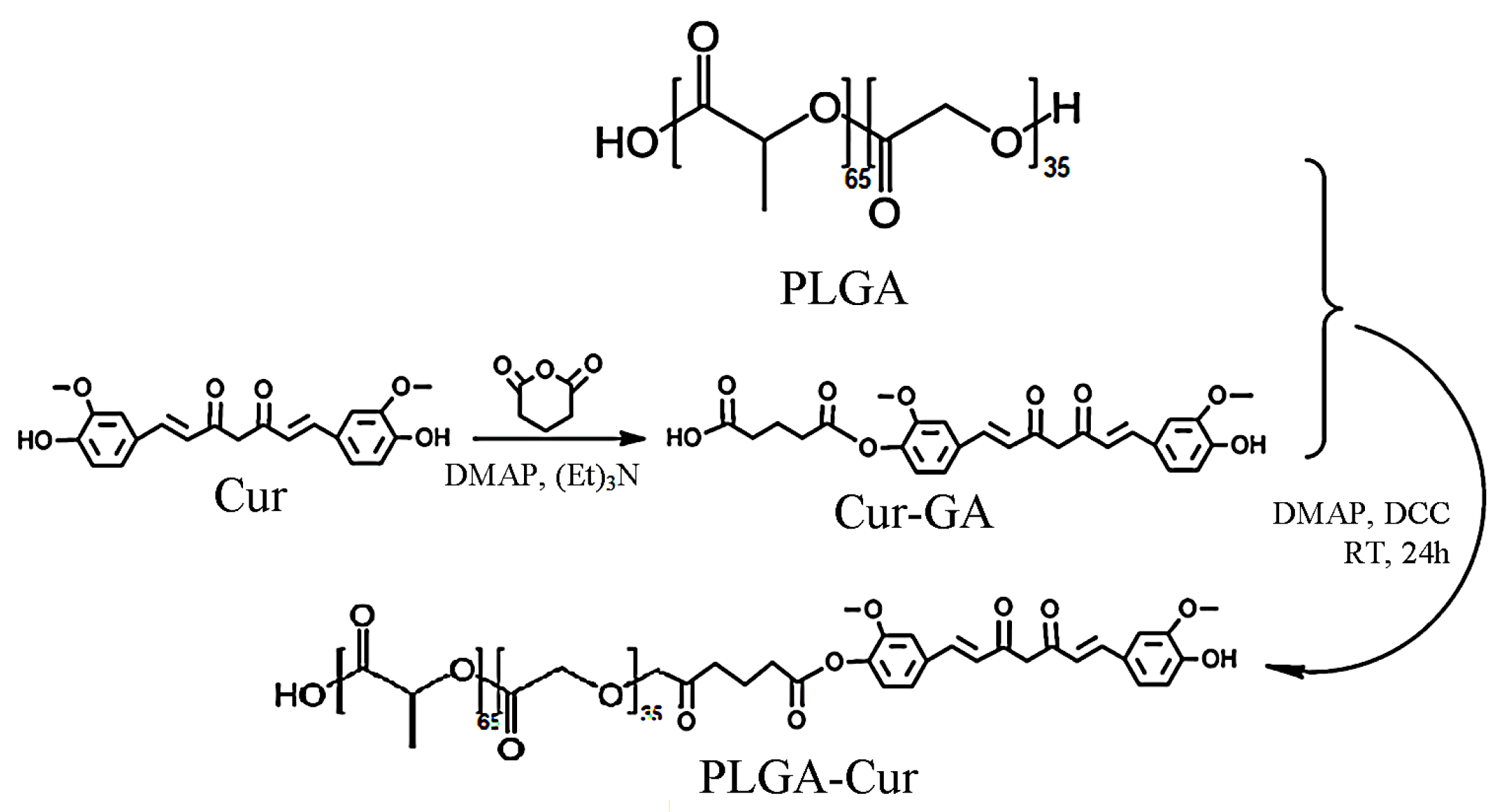 Biomolecules 16 00176 g001
