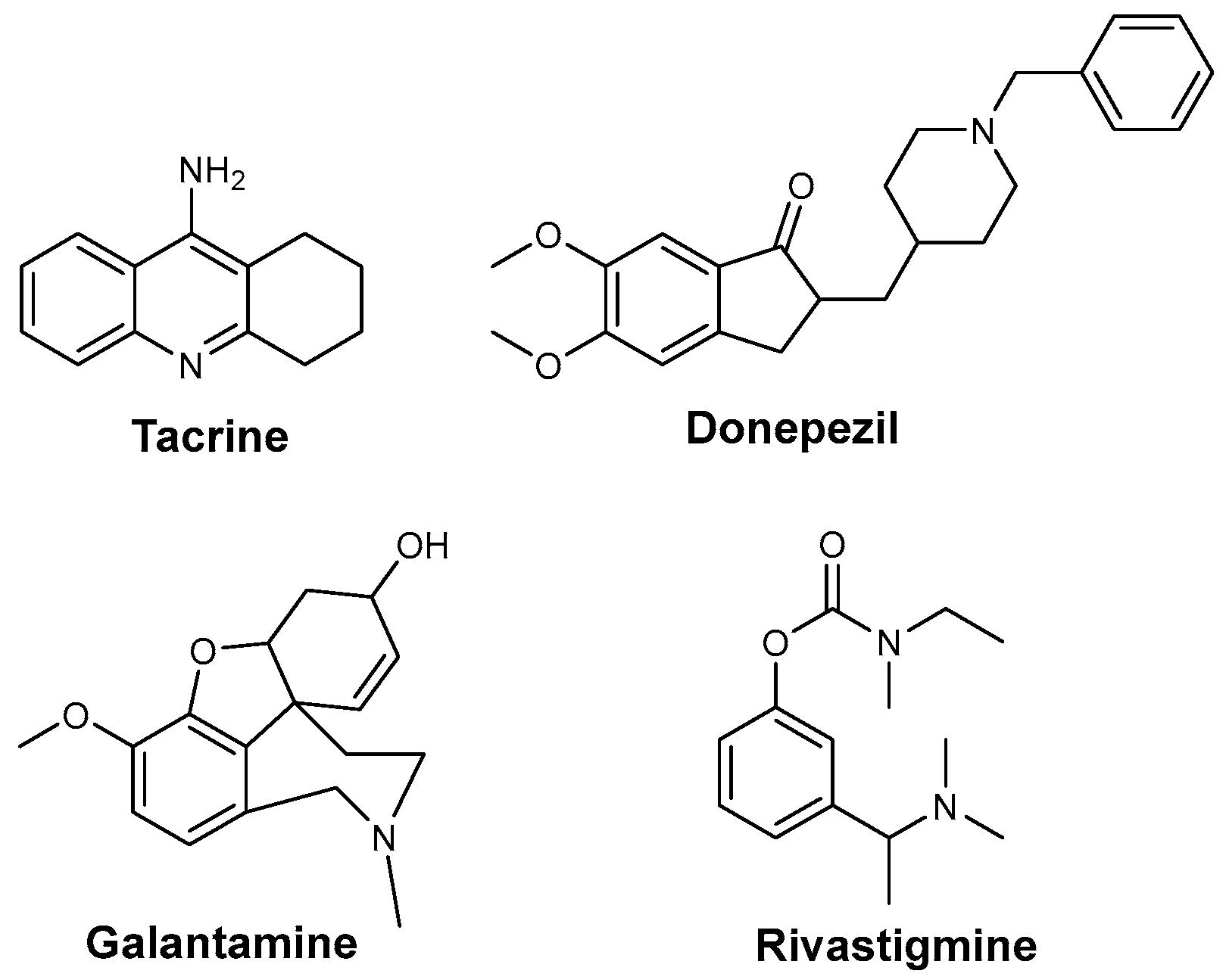Biomolecules 16 00178 g001
