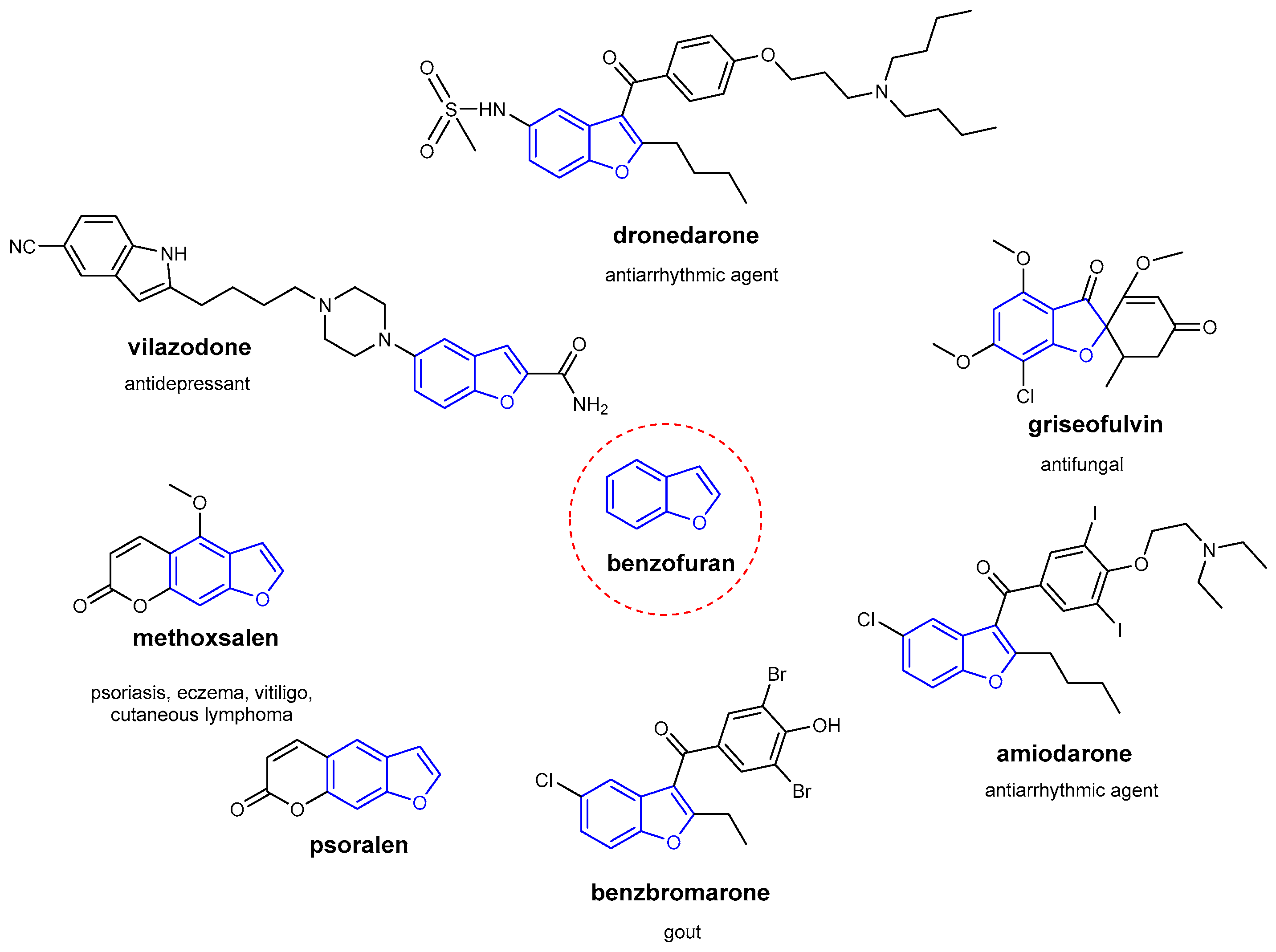 Biomolecules 16 00178 g003