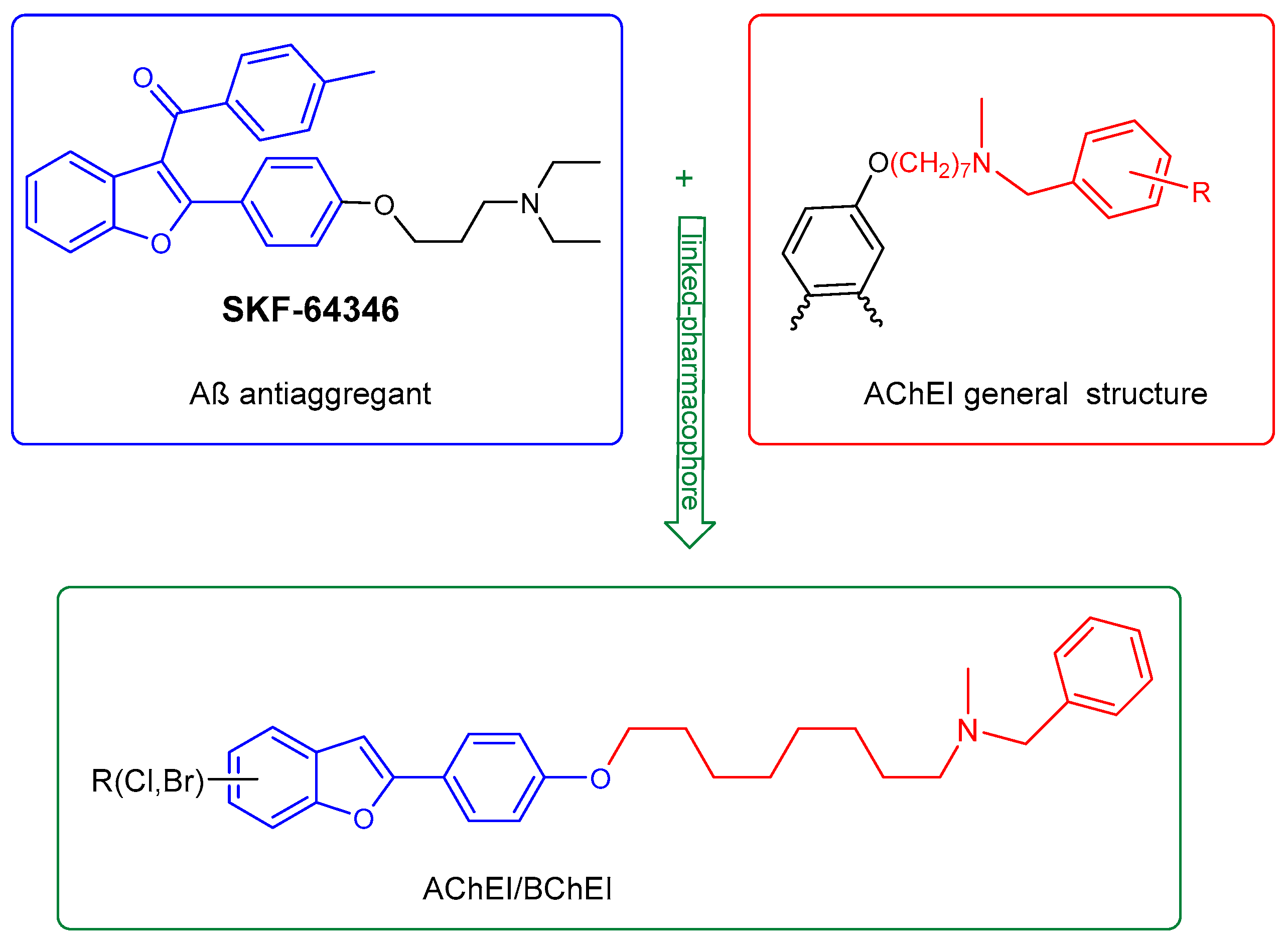 Biomolecules 16 00178 g005