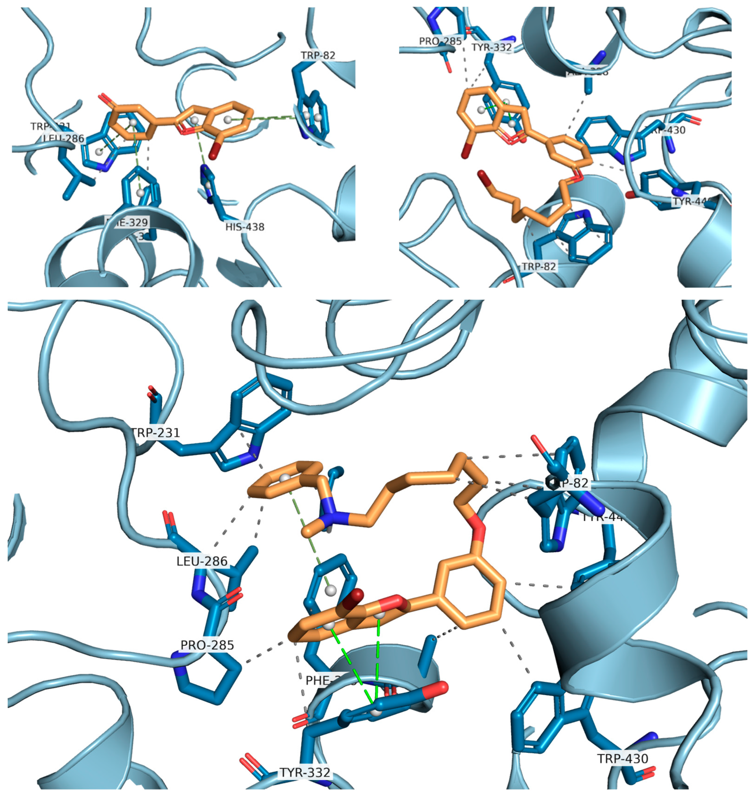 Biomolecules 16 00178 g008