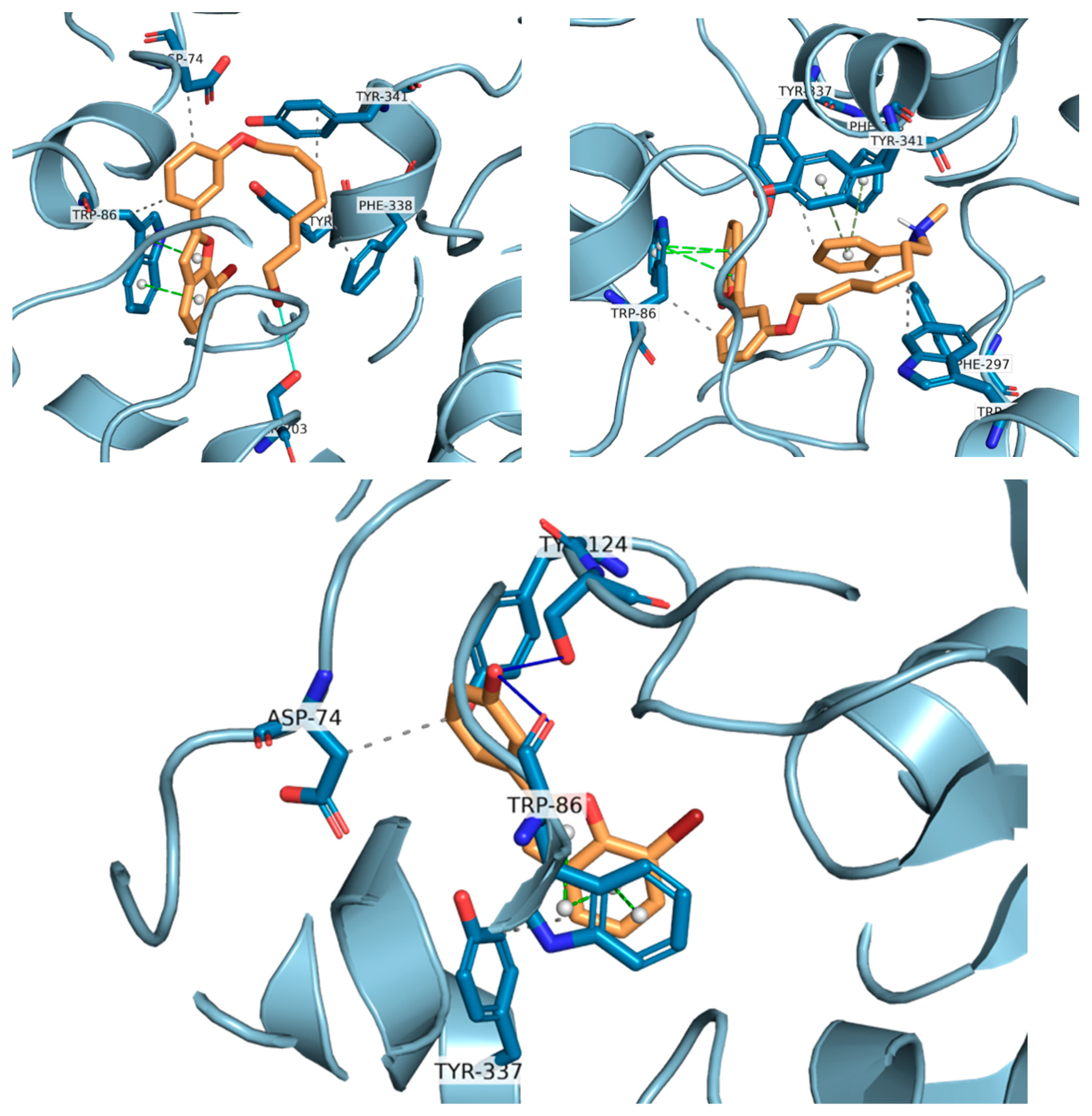 Biomolecules 16 00178 g009