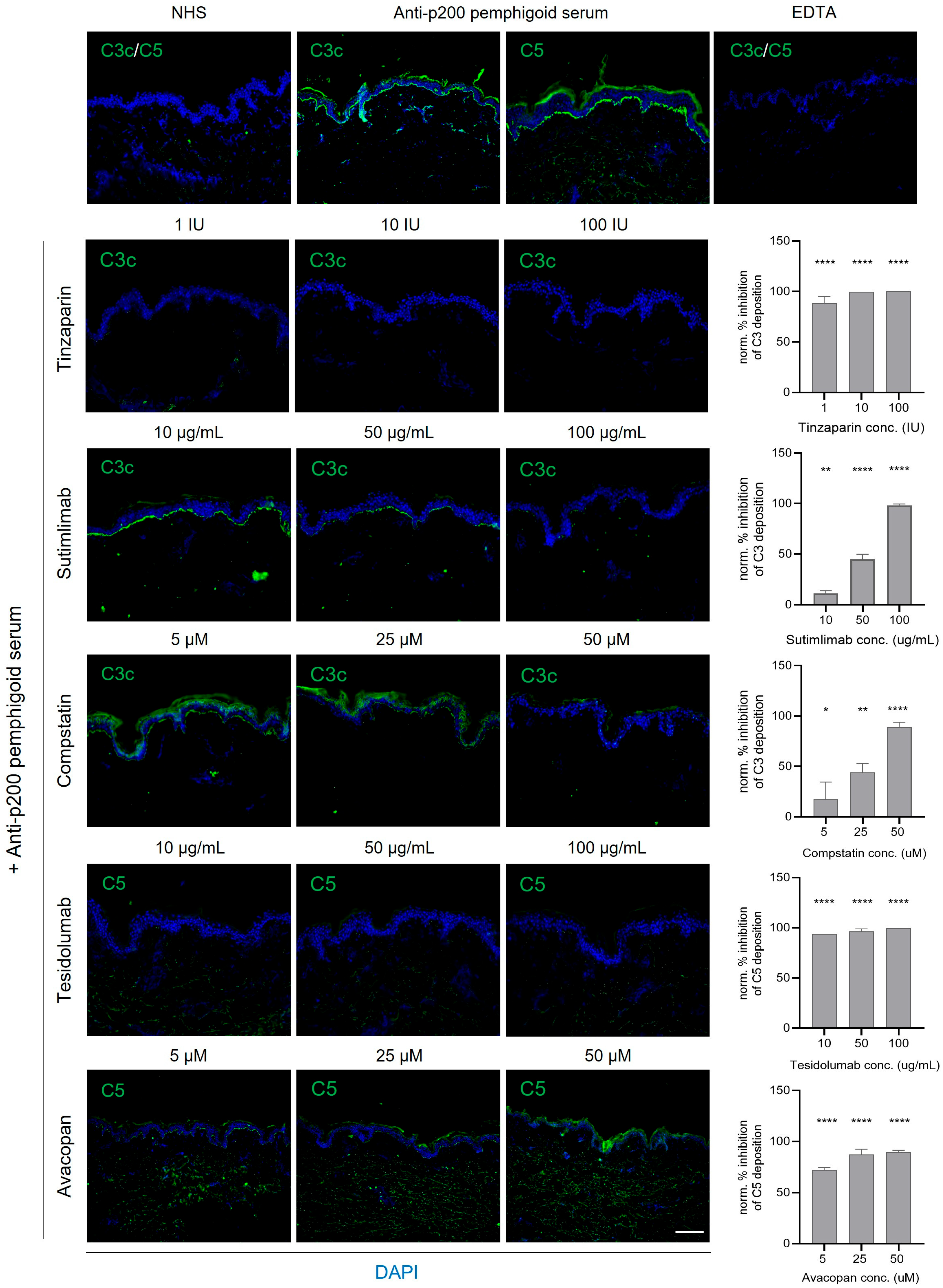 Biomolecules 16 00182 g004 Biomolecules 16 00182 g004