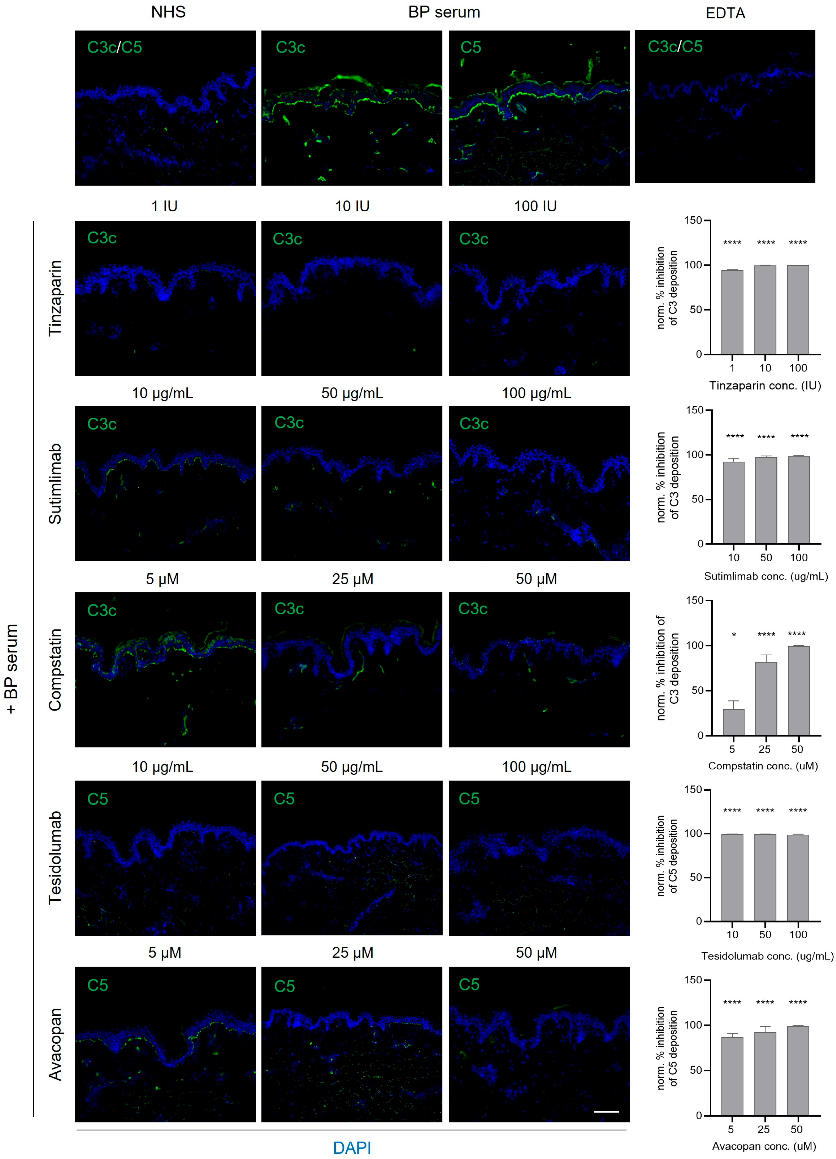 Biomolecules 16 00182 g005 Biomolecules 16 00182 g005