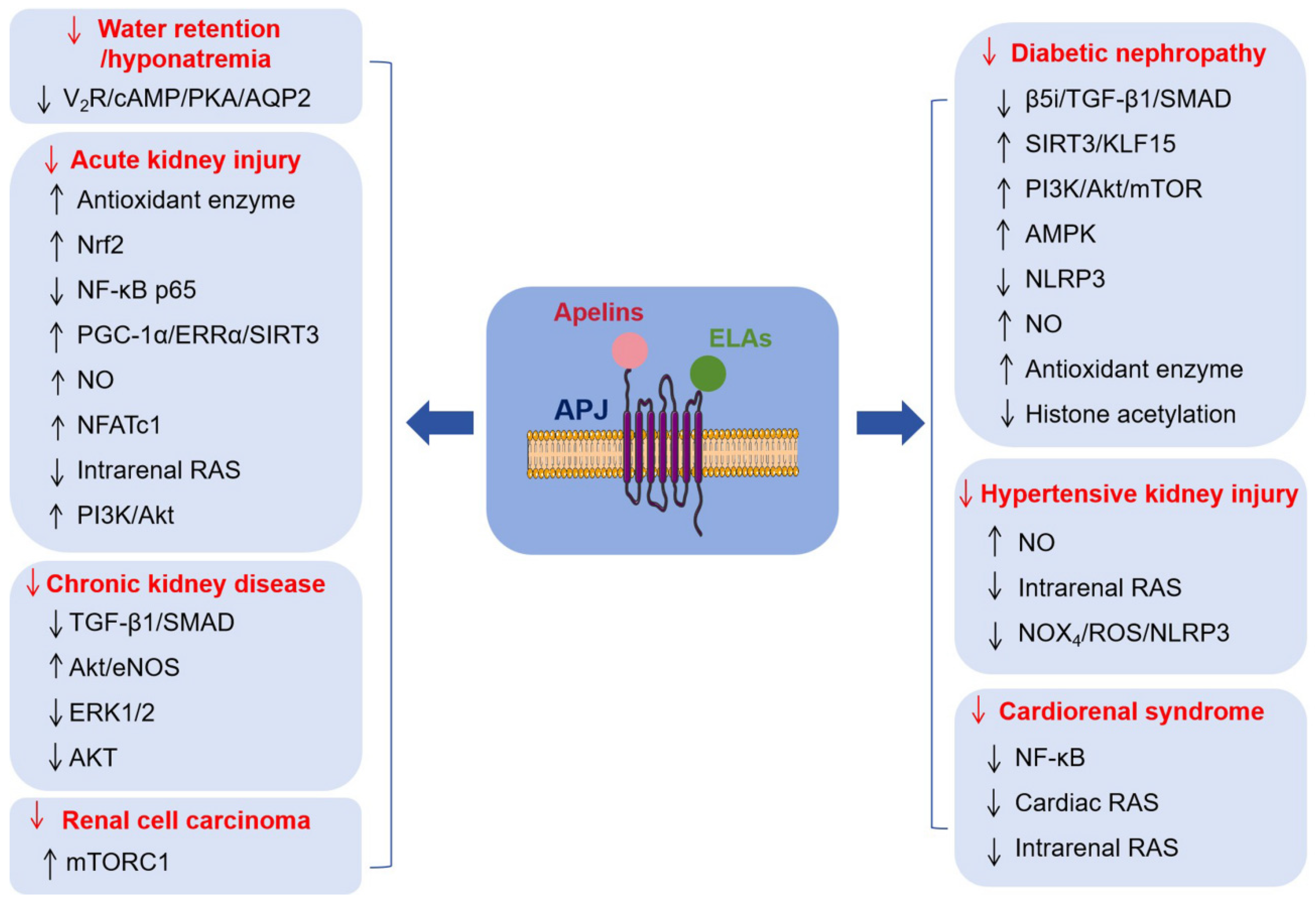 Biomolecules 16 00184 g004 Biomolecules 16 00184 g004