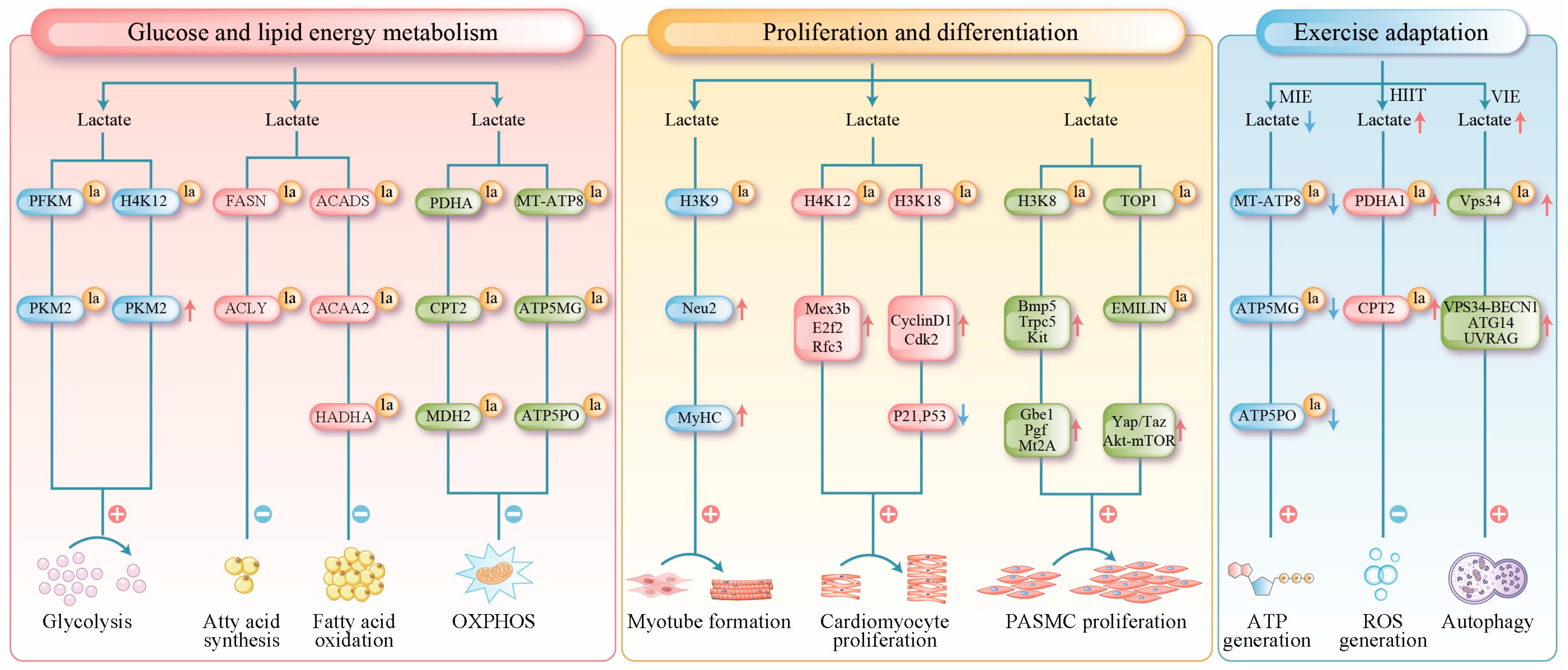 Biomolecules 16 00212 g002