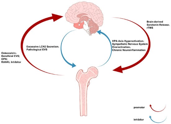 Biomolecules 16 00213 g001