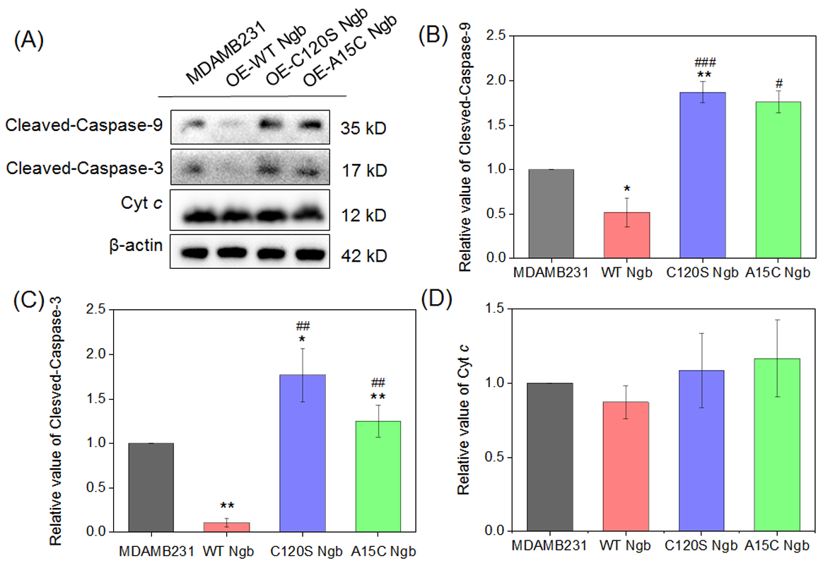 Biomolecules 16 00215 g004