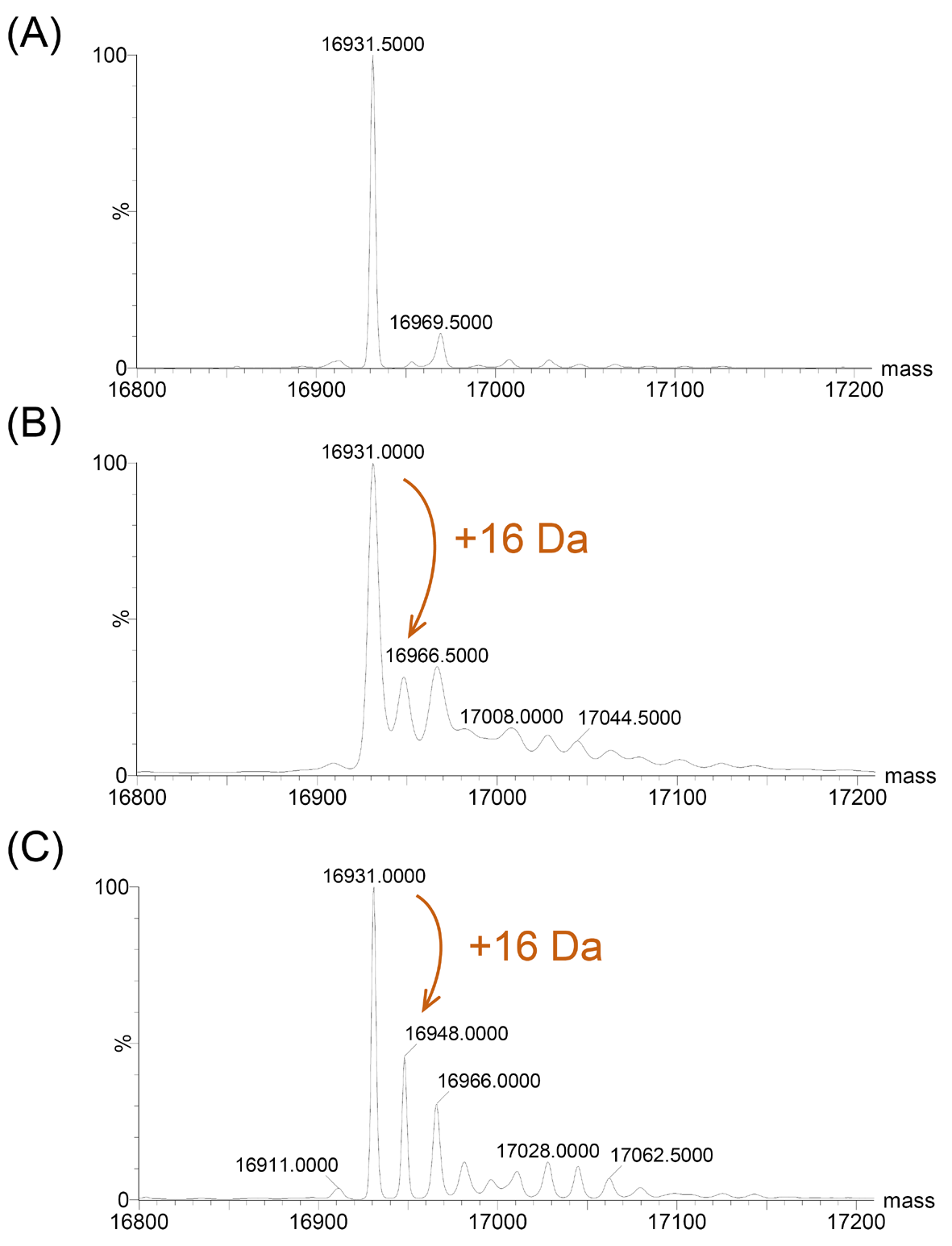 Biomolecules 16 00215 g006