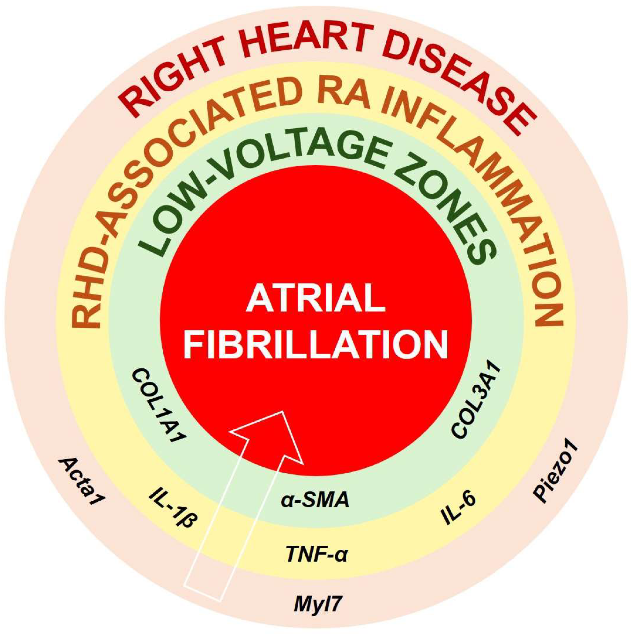 Biomolecules 16 00216 g001
