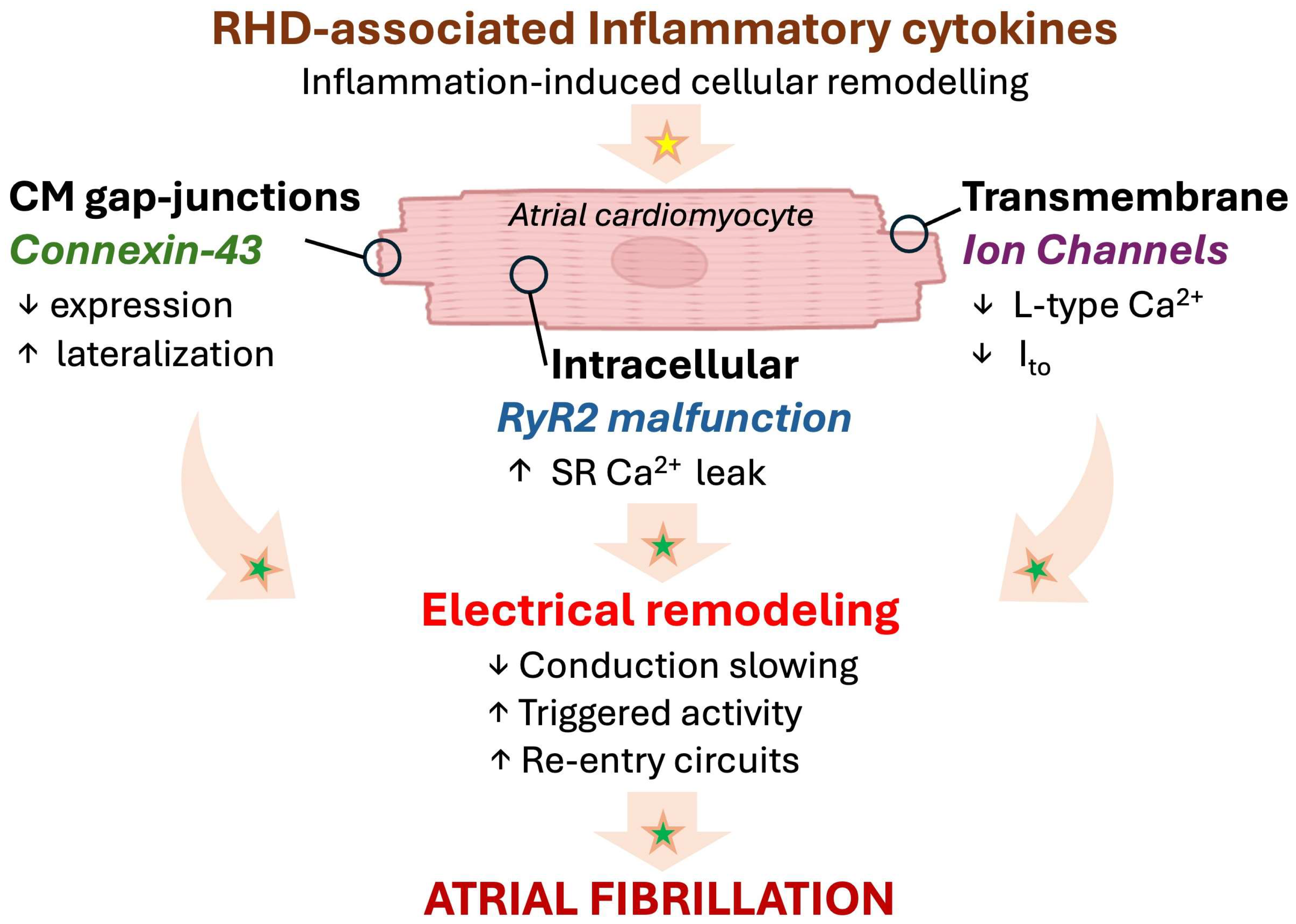 Biomolecules 16 00216 g003