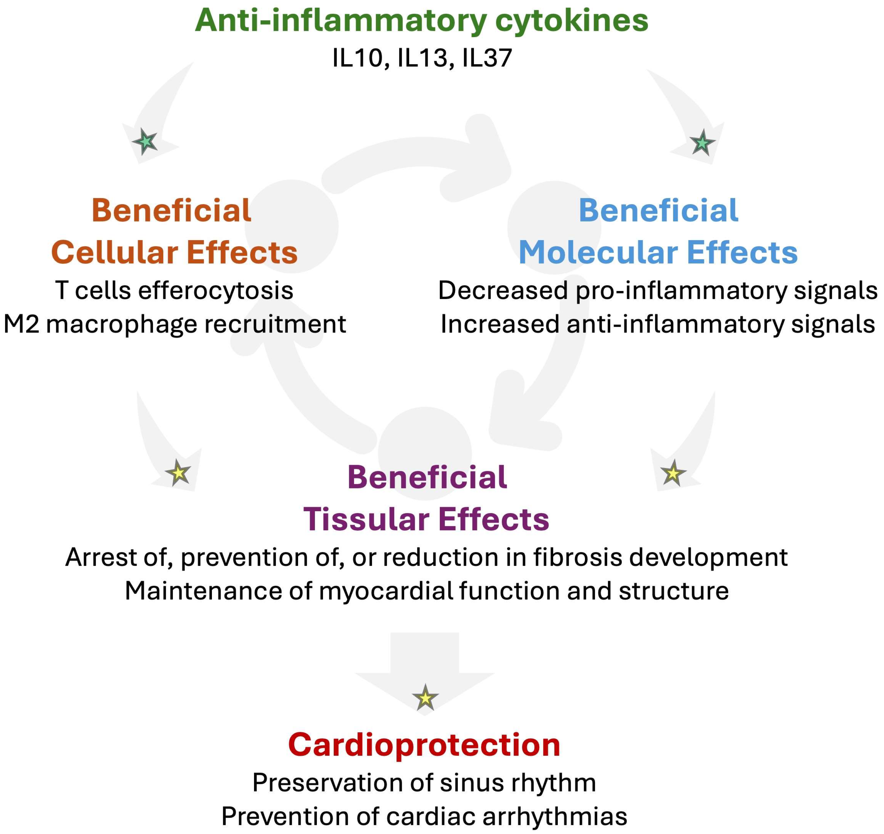 Biomolecules 16 00216 g005