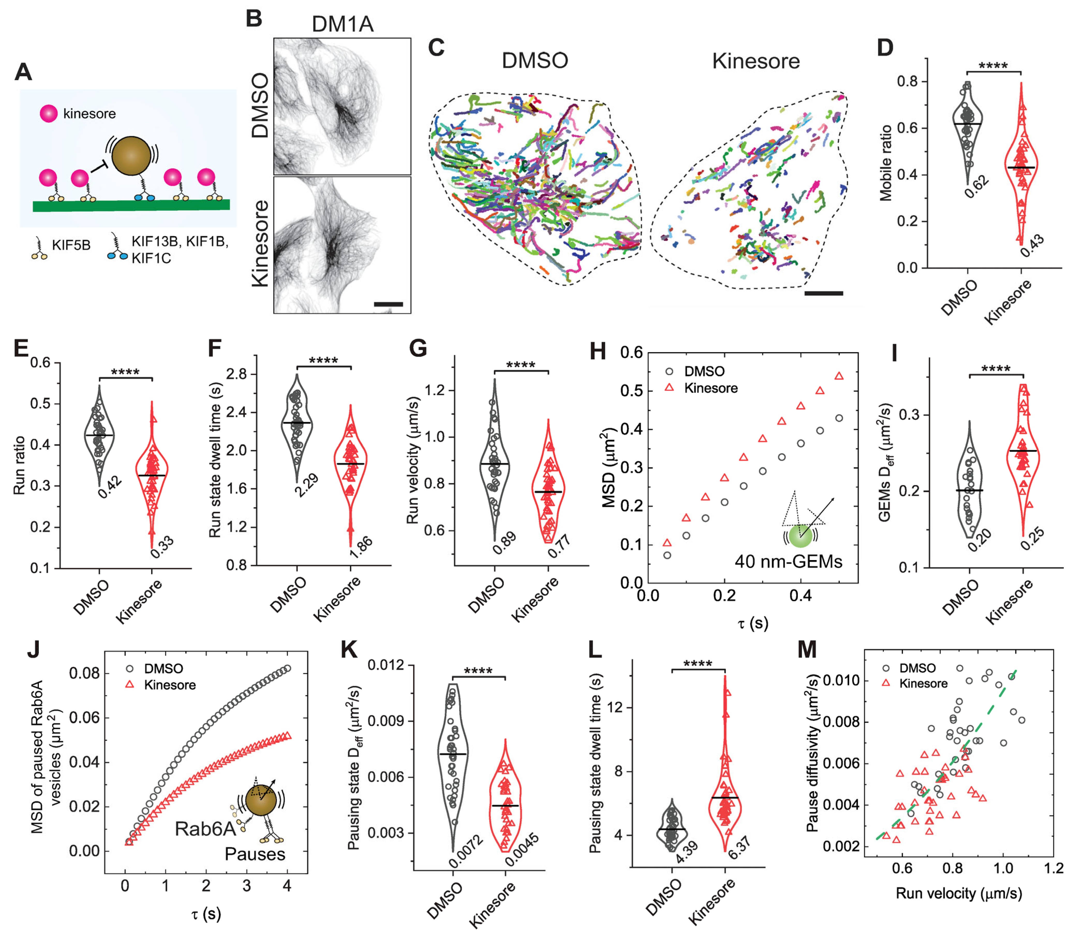 Biomolecules 16 00221 g003 Biomolecules 16 00221 g003