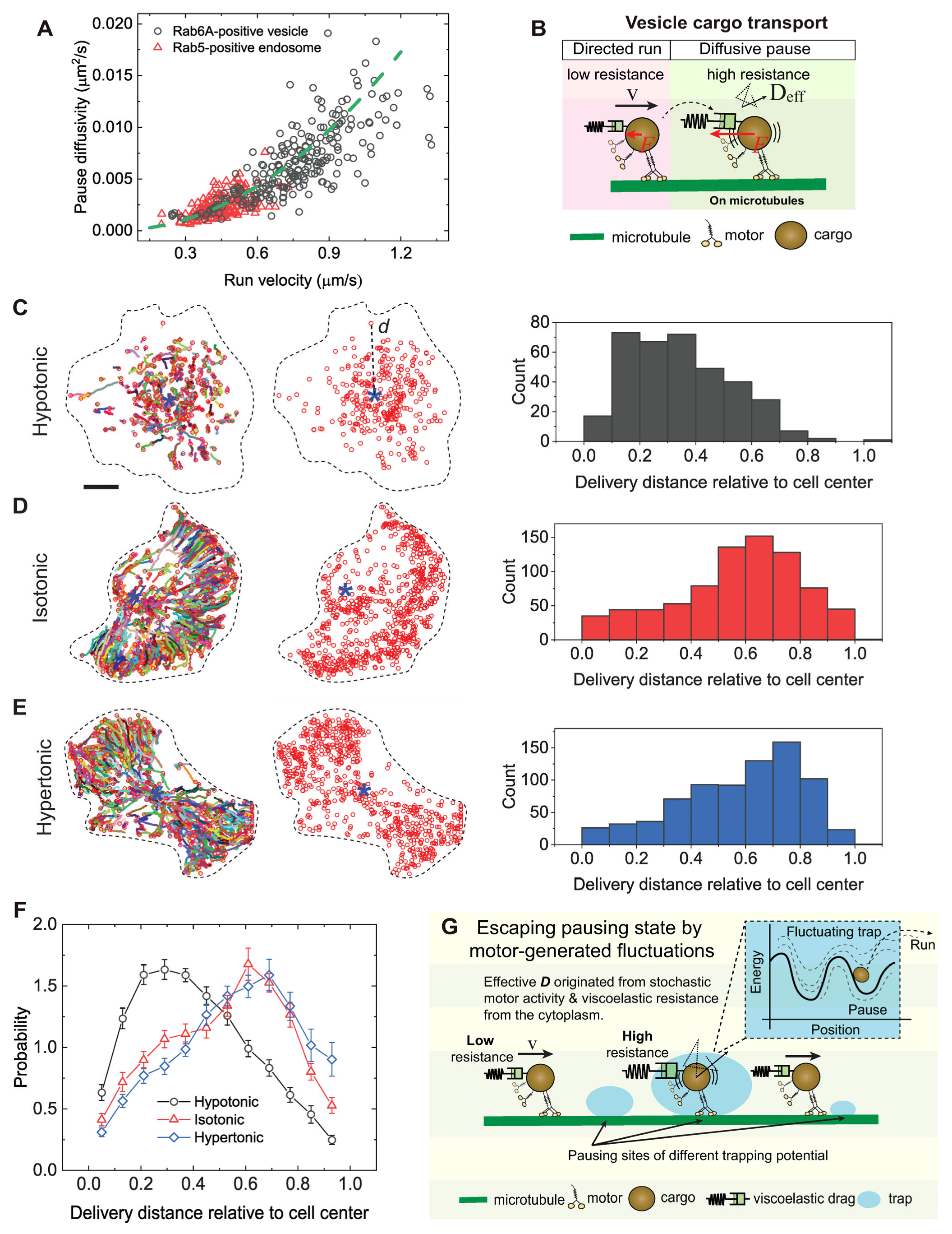 Biomolecules 16 00221 g006 Biomolecules 16 00221 g006