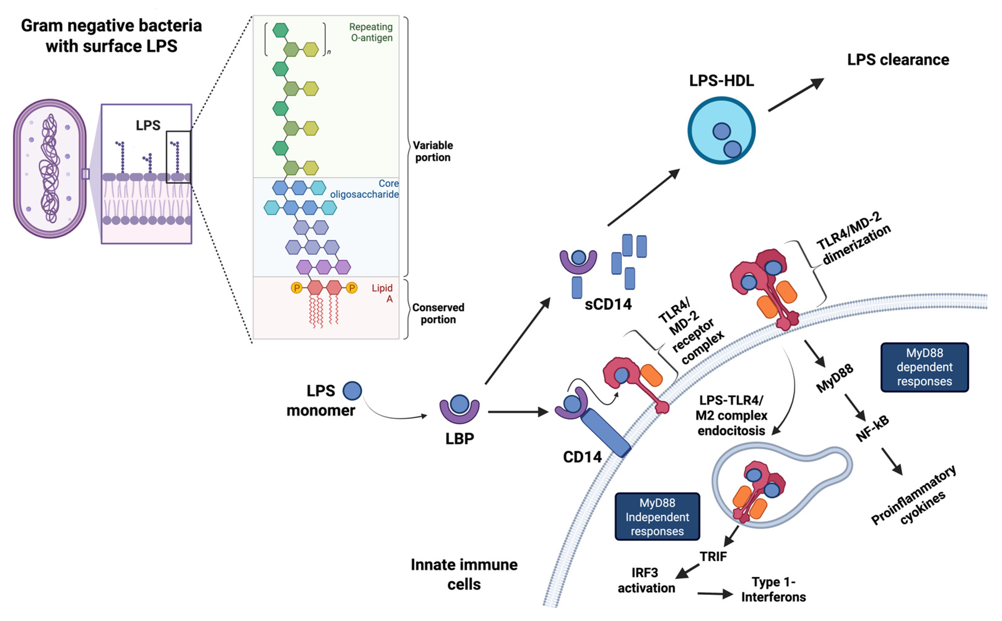 Biomolecules 16 00226 g001 Biomolecules 16 00226 g001