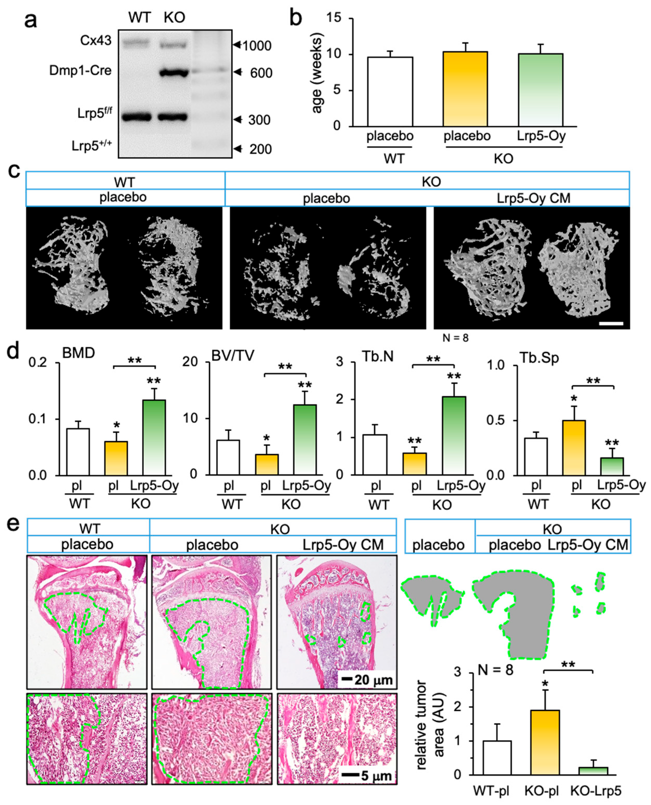 Biomolecules 16 00240 g004 Biomolecules 16 00240 g004