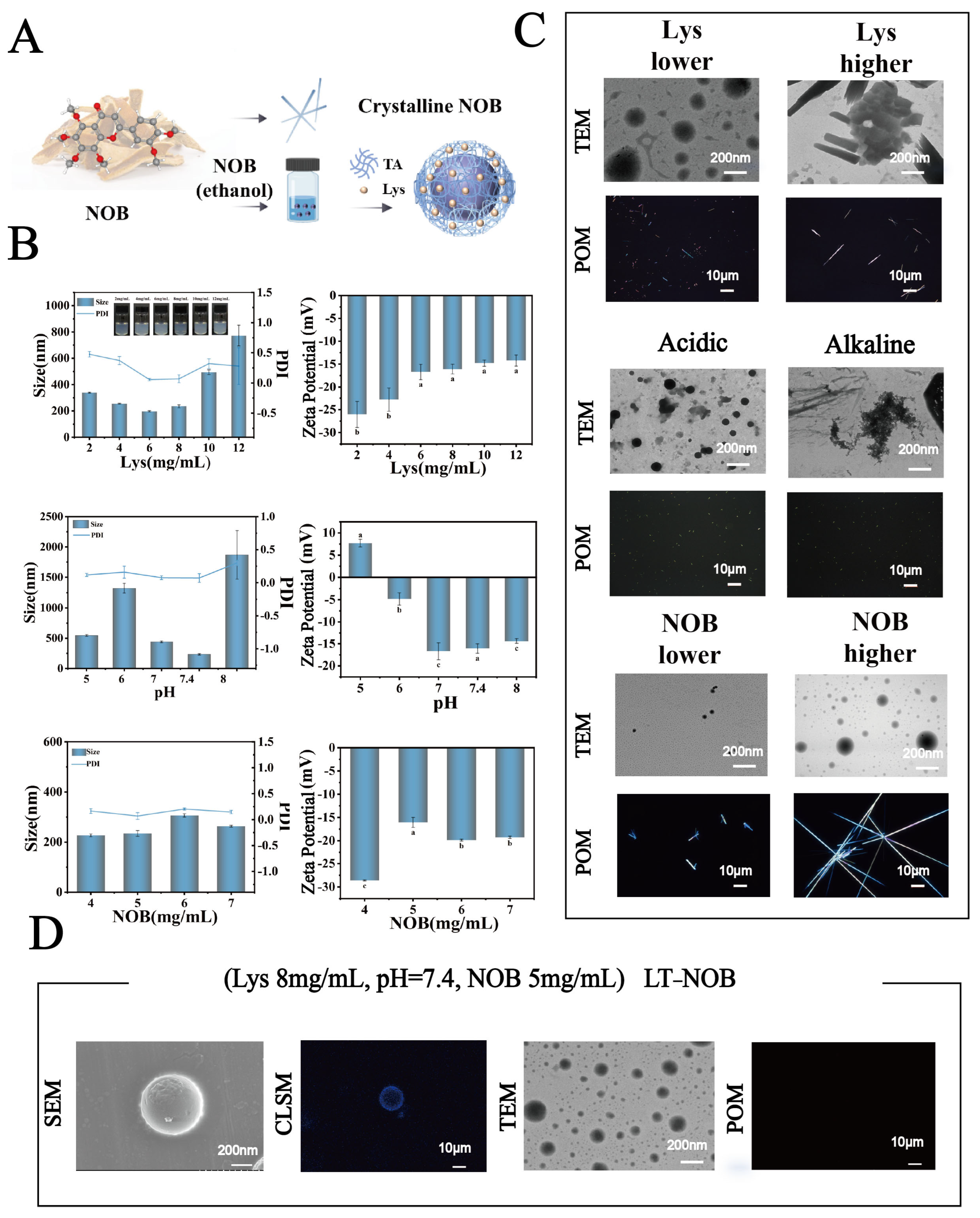 Biomolecules 16 00242 g001