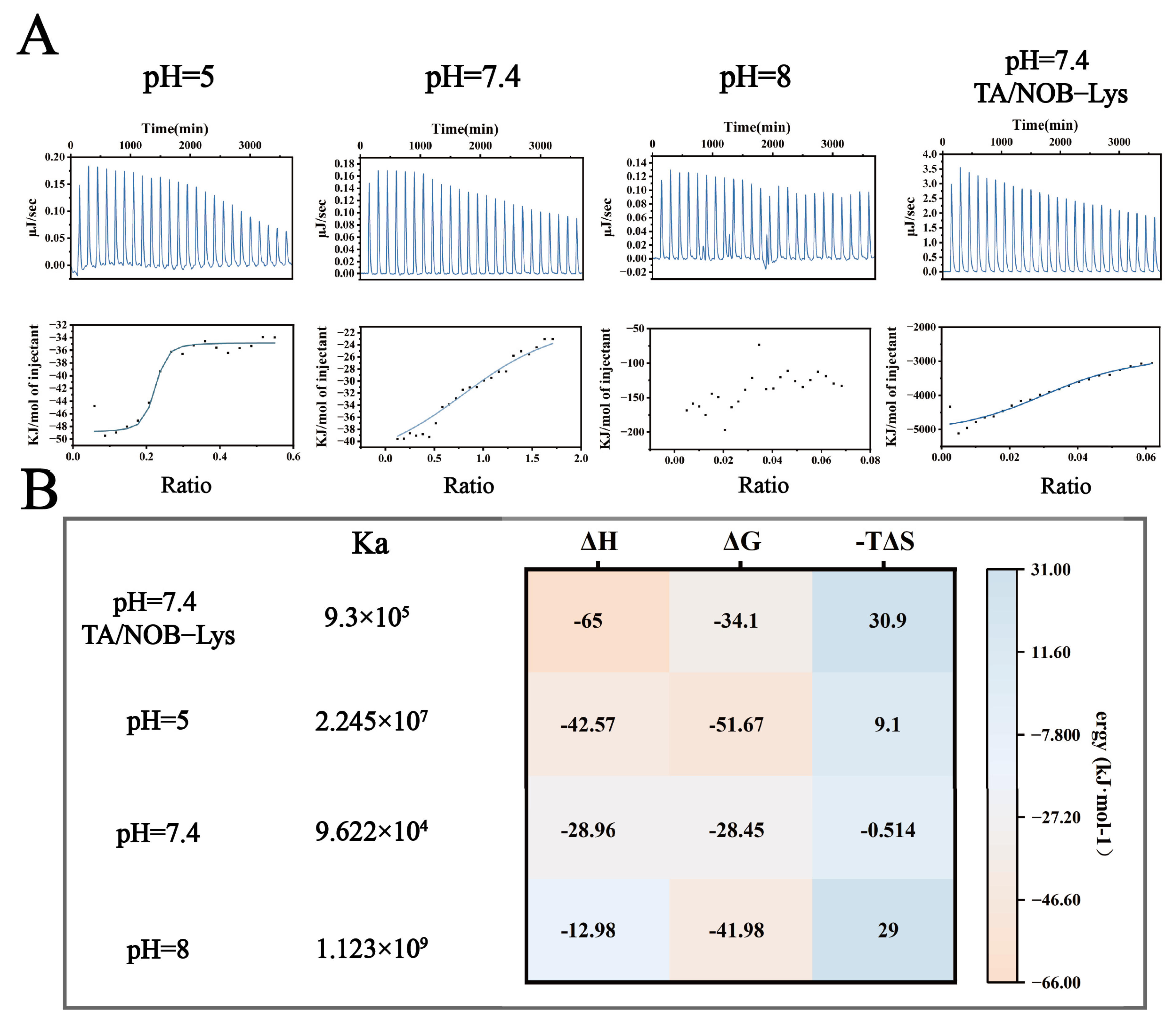 Biomolecules 16 00242 g004