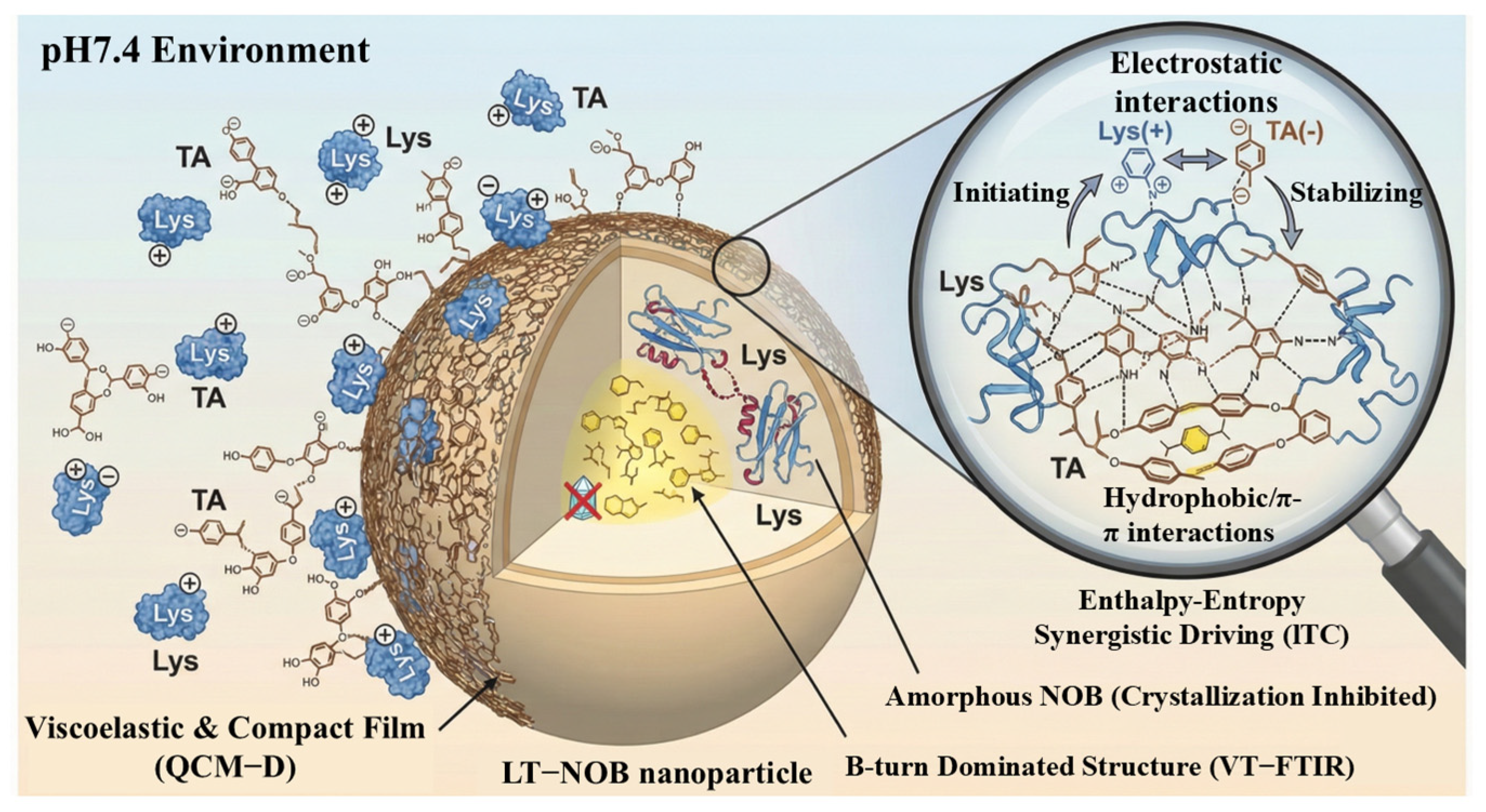 Biomolecules 16 00242 g006