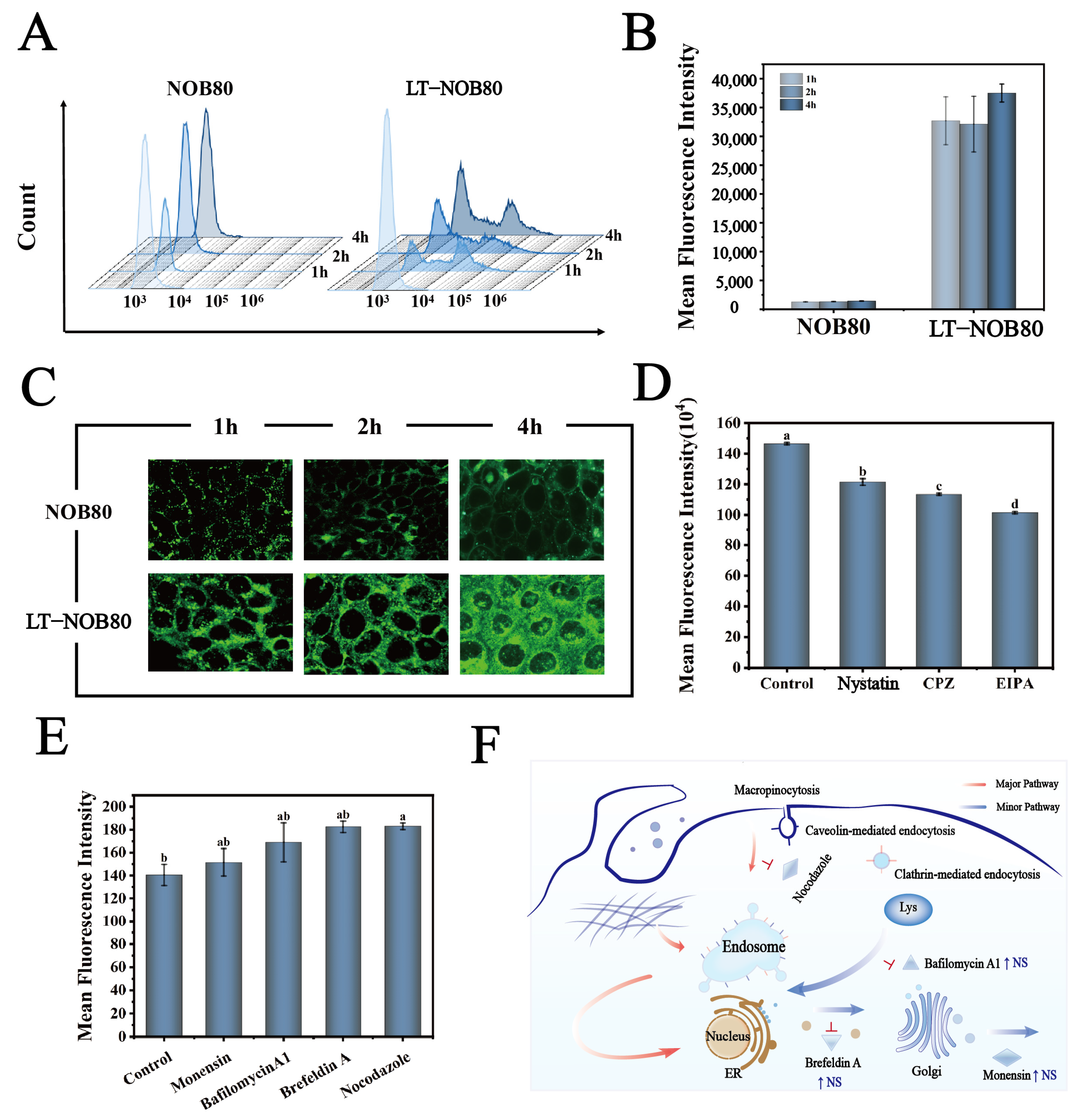 Biomolecules 16 00242 g007