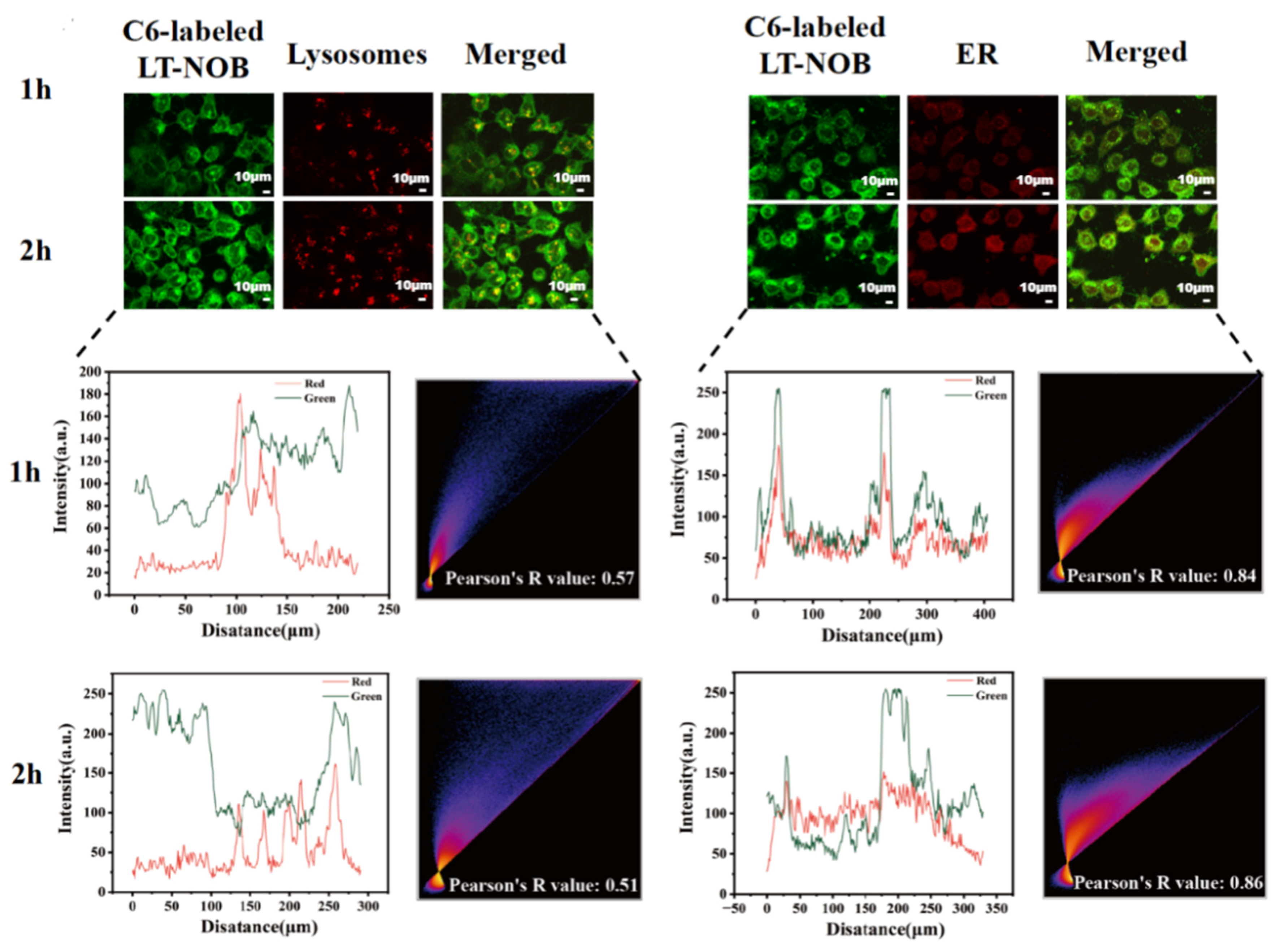 Biomolecules 16 00242 g008