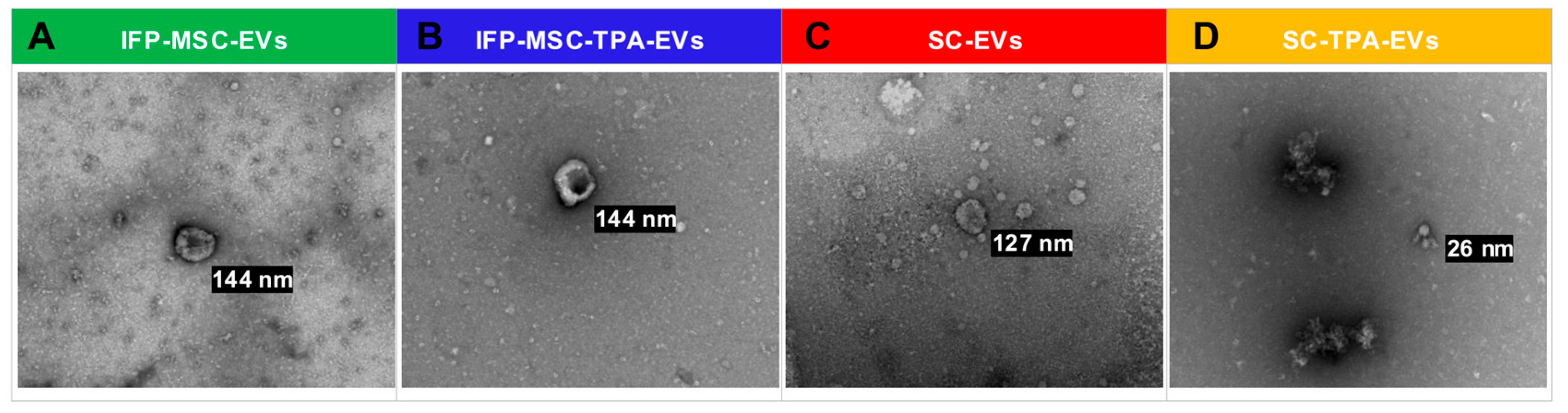 Biomolecules 16 00243 g002 Biomolecules 16 00243 g002