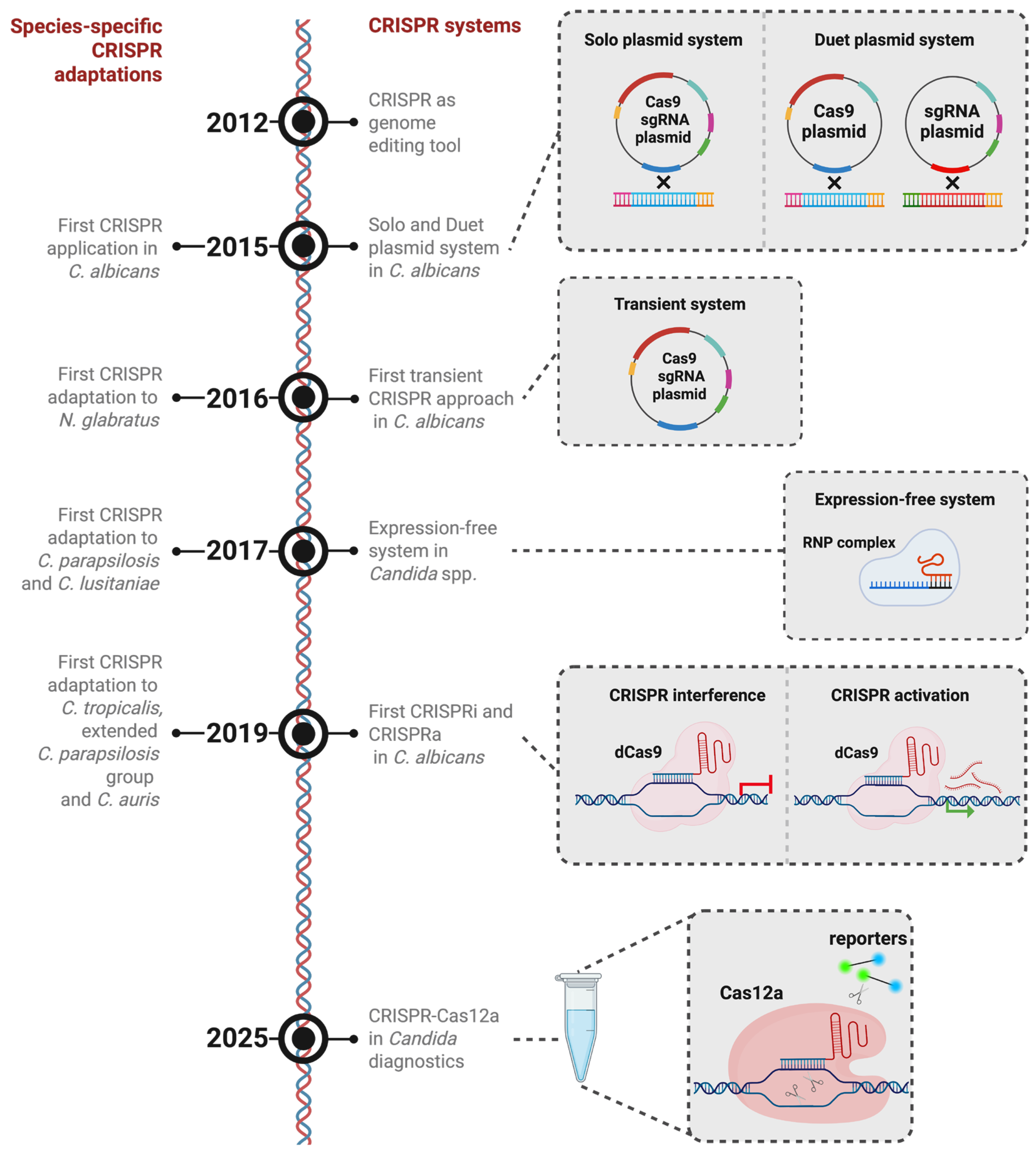 Biomolecules 16 00245 g002