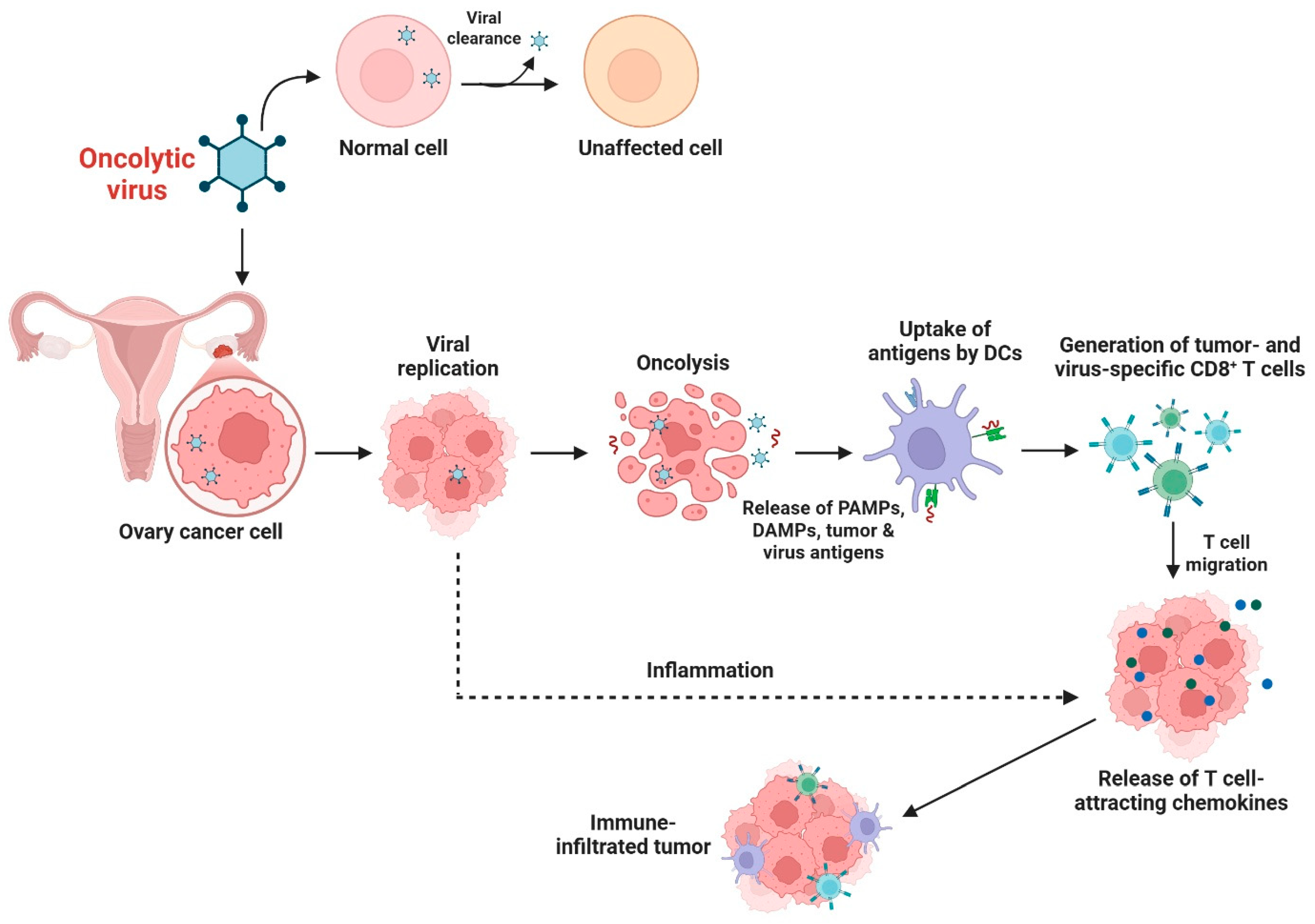 Biomolecules 16 00246 g004 Biomolecules 16 00246 g004