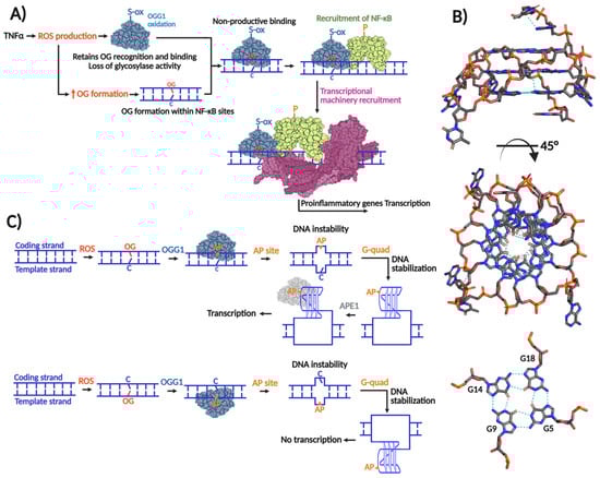 Biomolecules 16 00257 g002