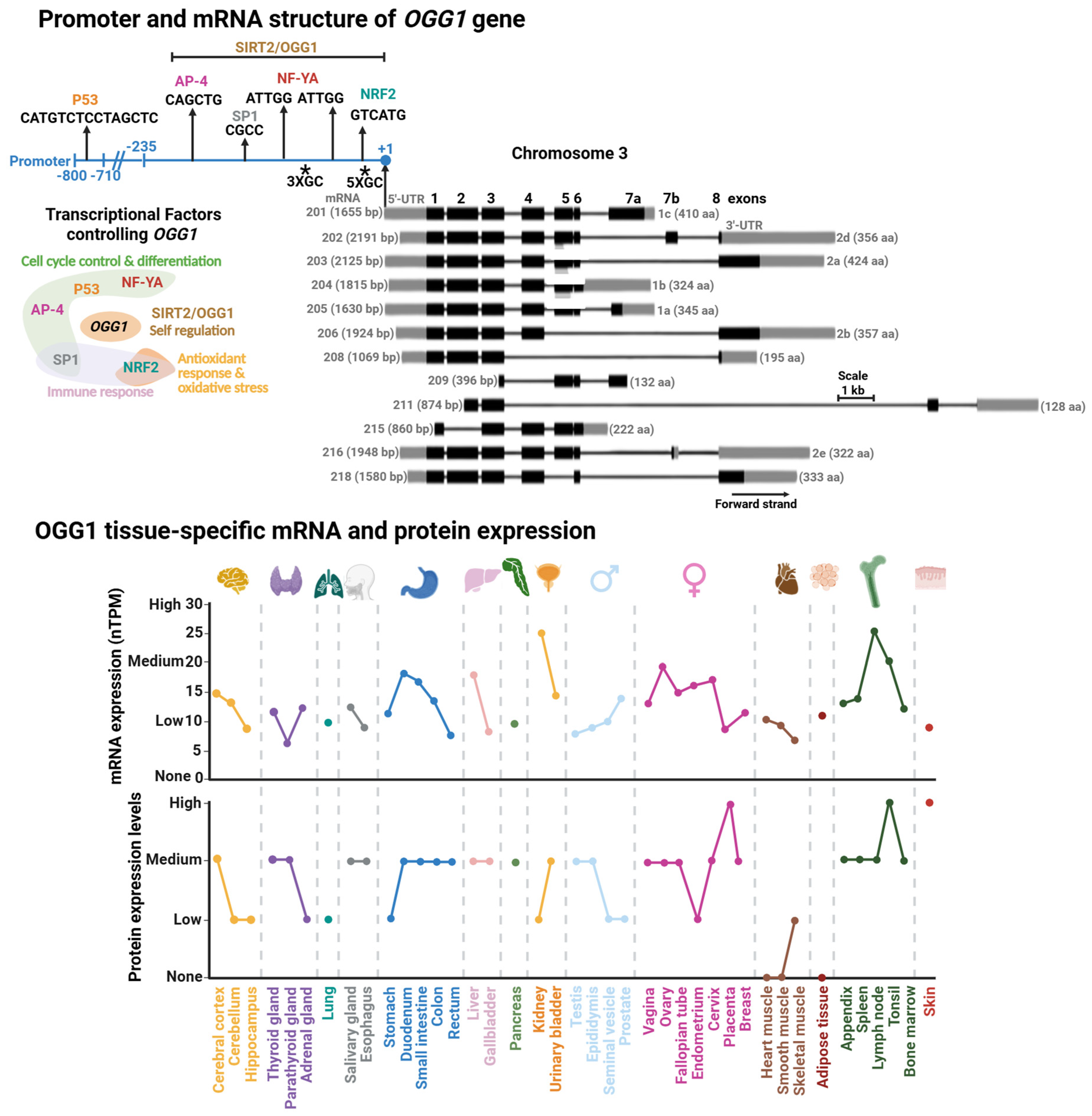 Biomolecules 16 00257 g003