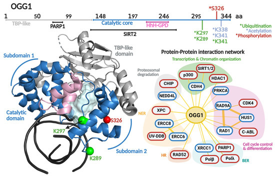 Biomolecules 16 00257 g004