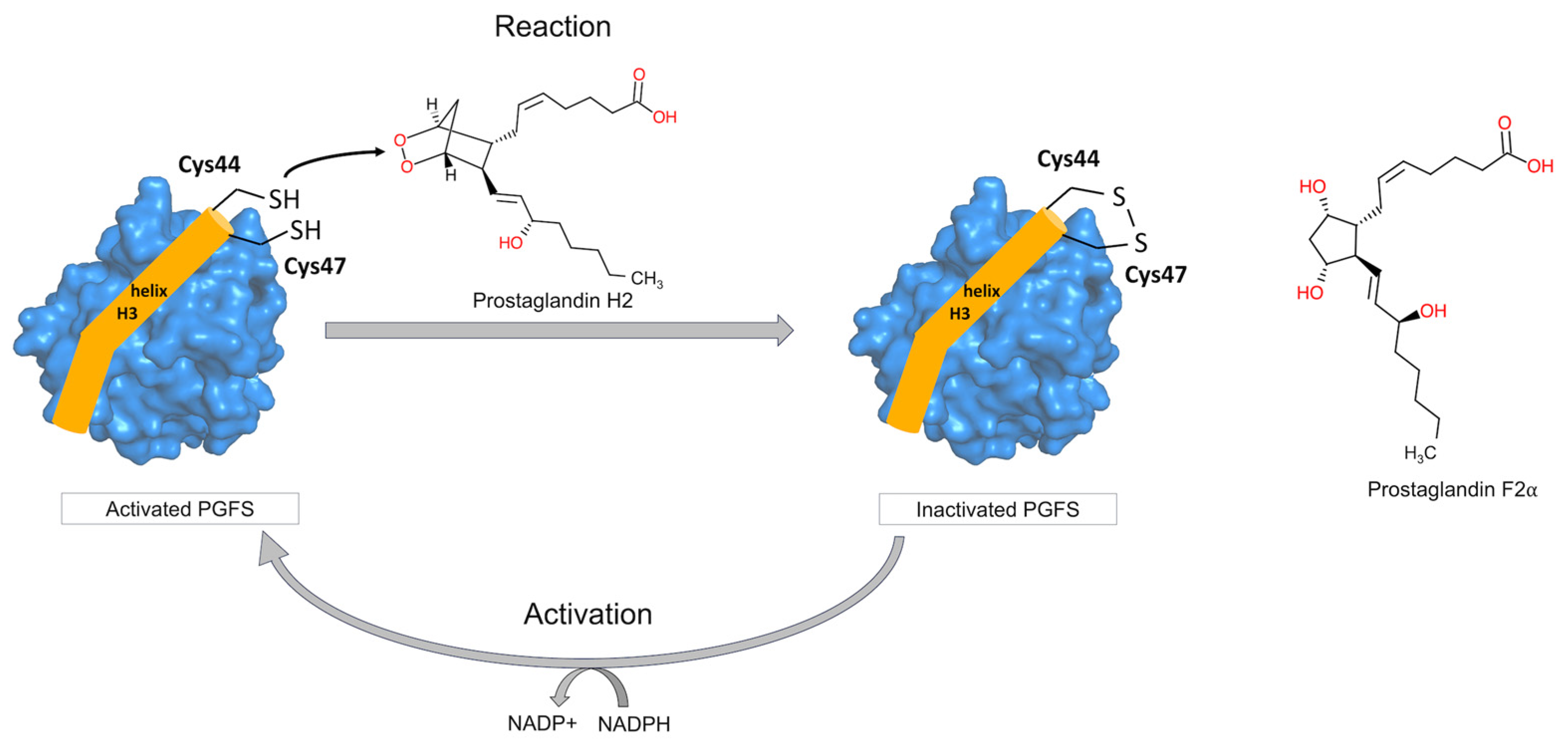 Biomolecules 16 00262 g001