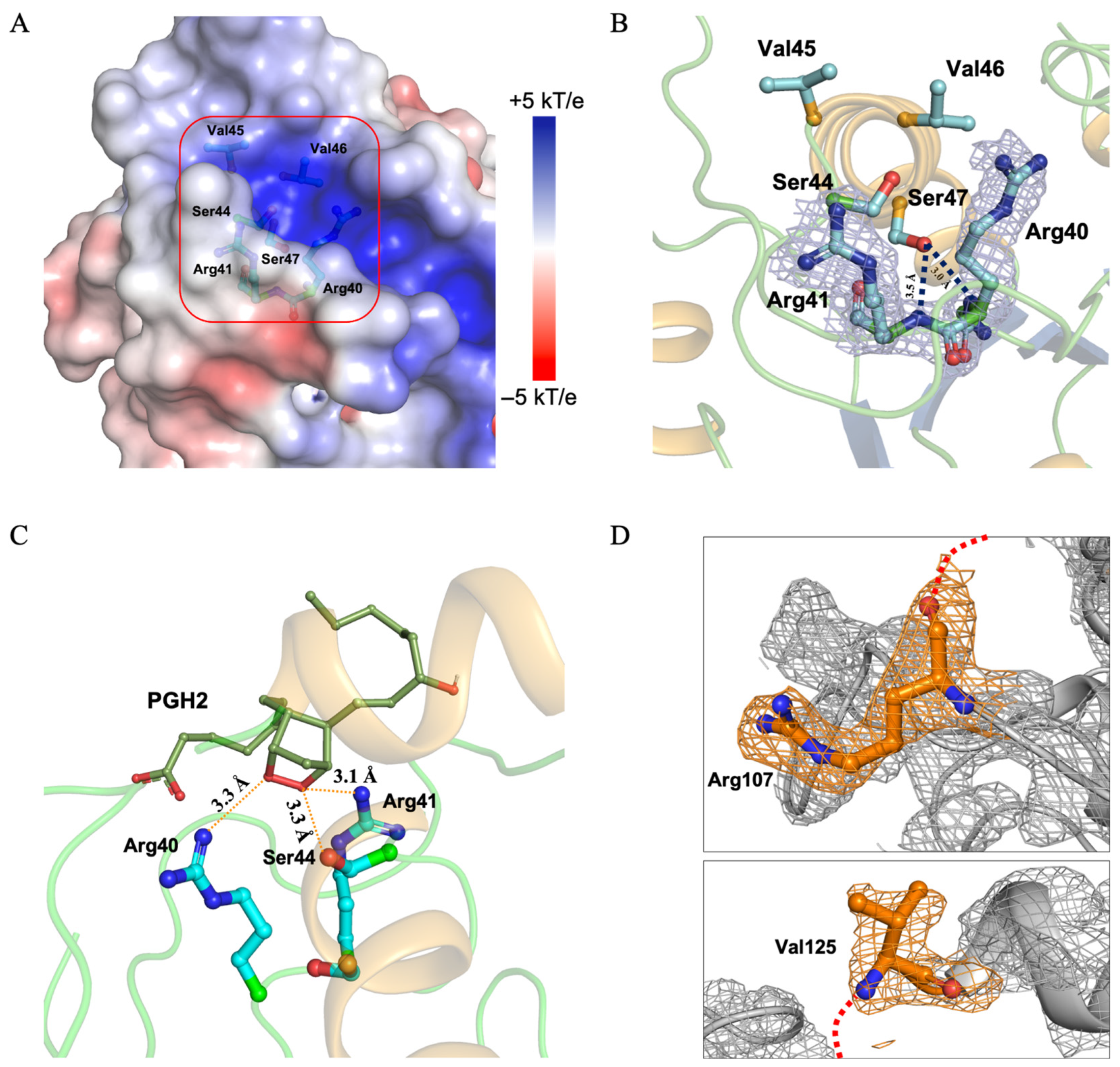 Biomolecules 16 00262 g004