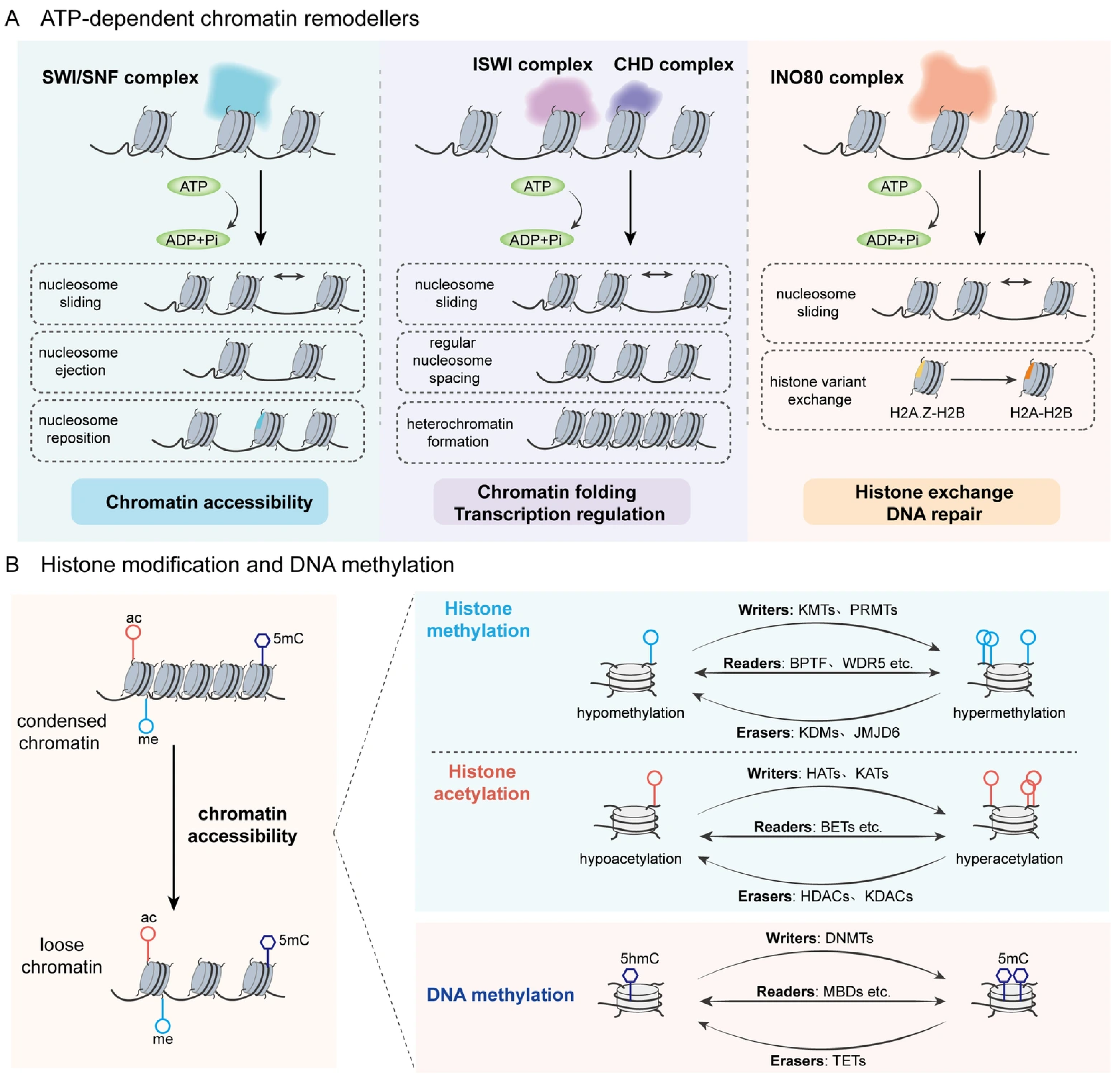 Biomolecules 16 00265 g001 Biomolecules 16 00265 g001