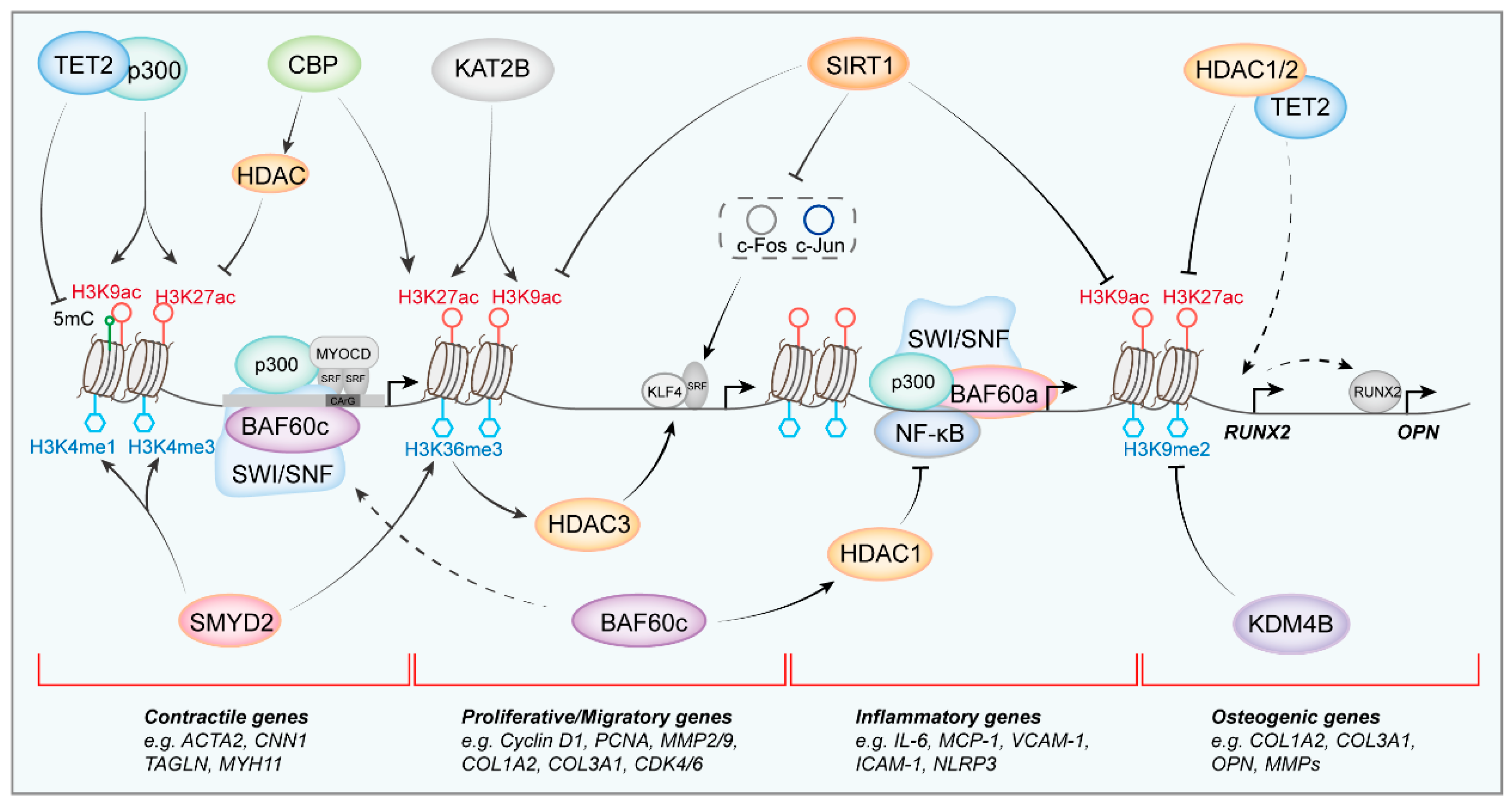 Biomolecules 16 00265 g003 Biomolecules 16 00265 g003