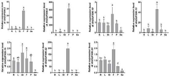Biomolecules 16 00270 g007