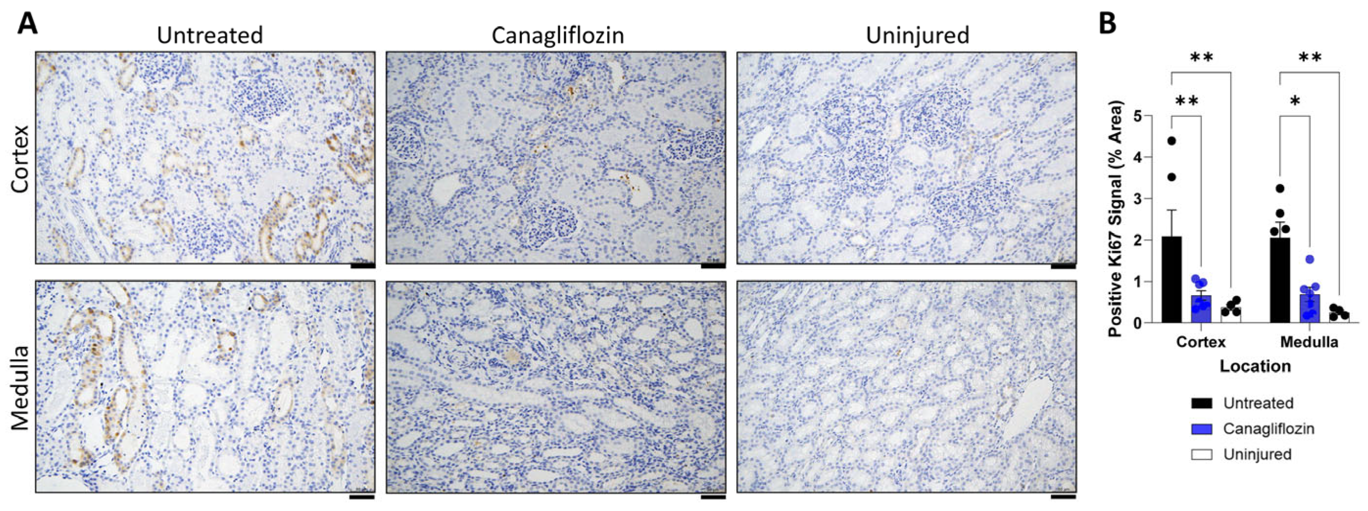 Biomolecules 16 00279 g005