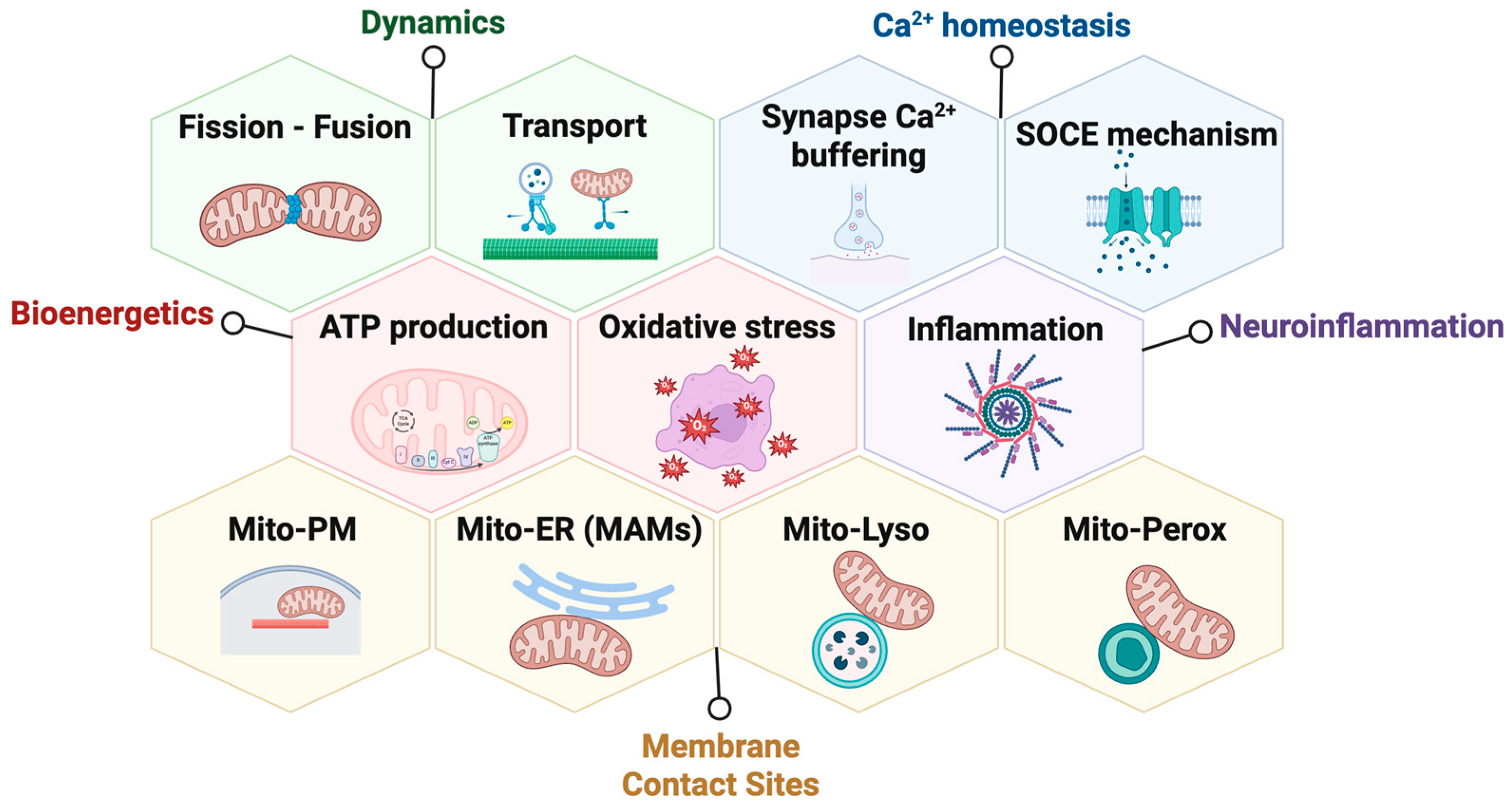 Biomolecules 16 00280 g001
