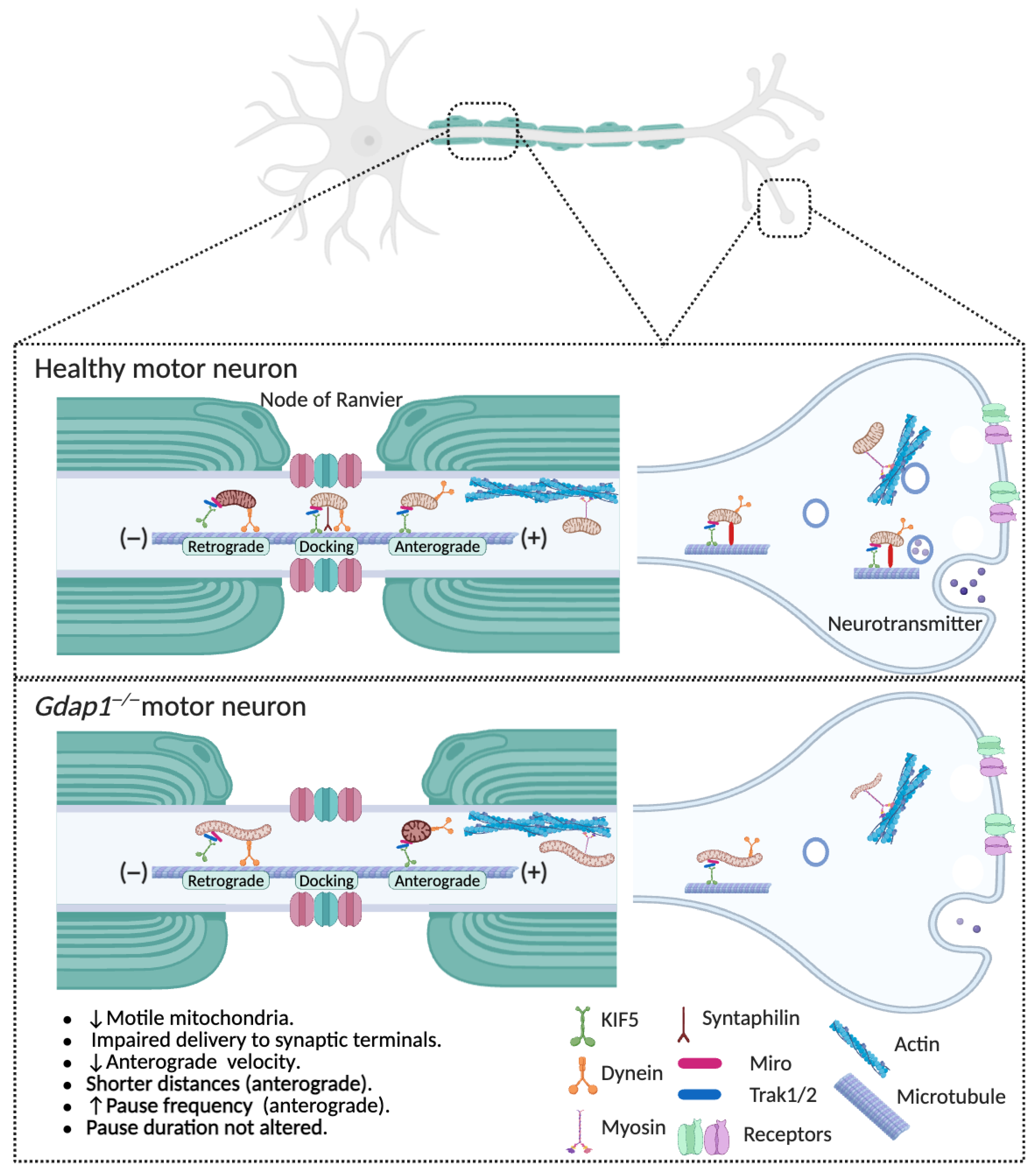 Biomolecules 16 00280 g004