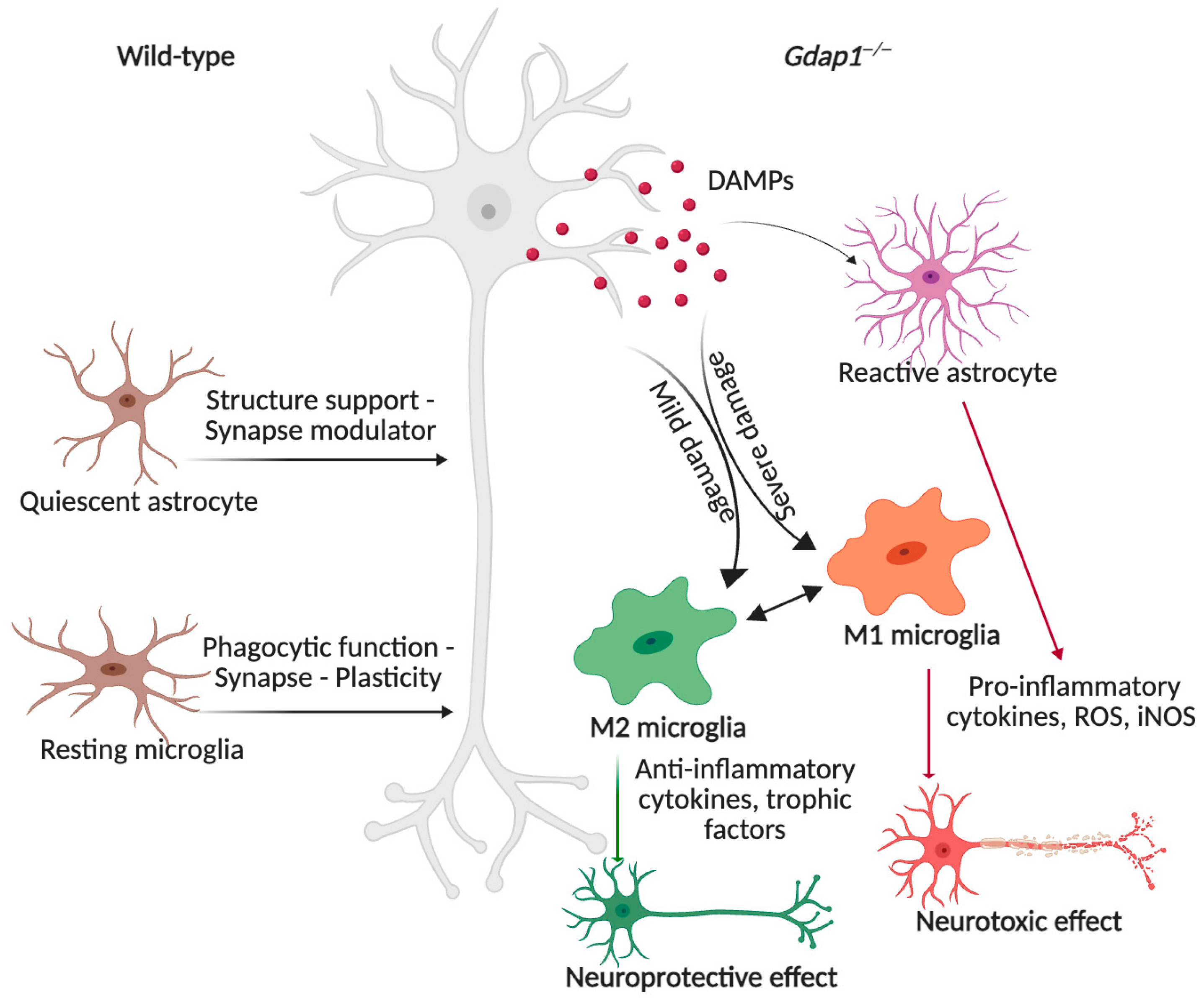 Biomolecules 16 00280 g007