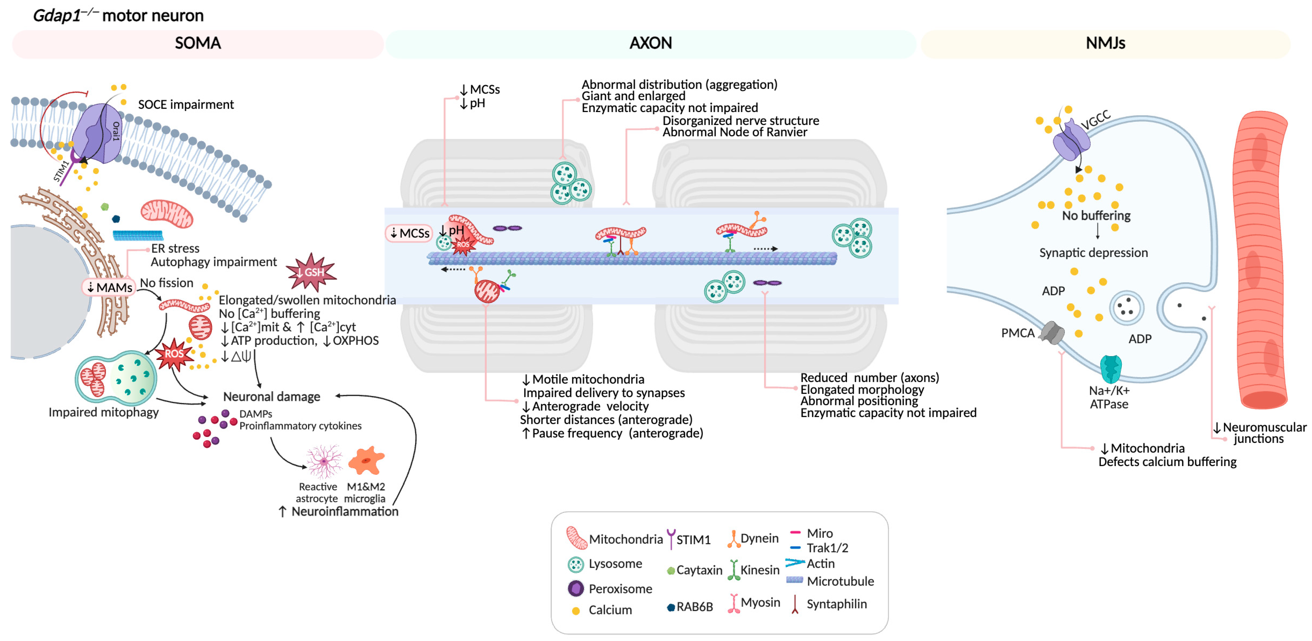 Biomolecules 16 00280 g009