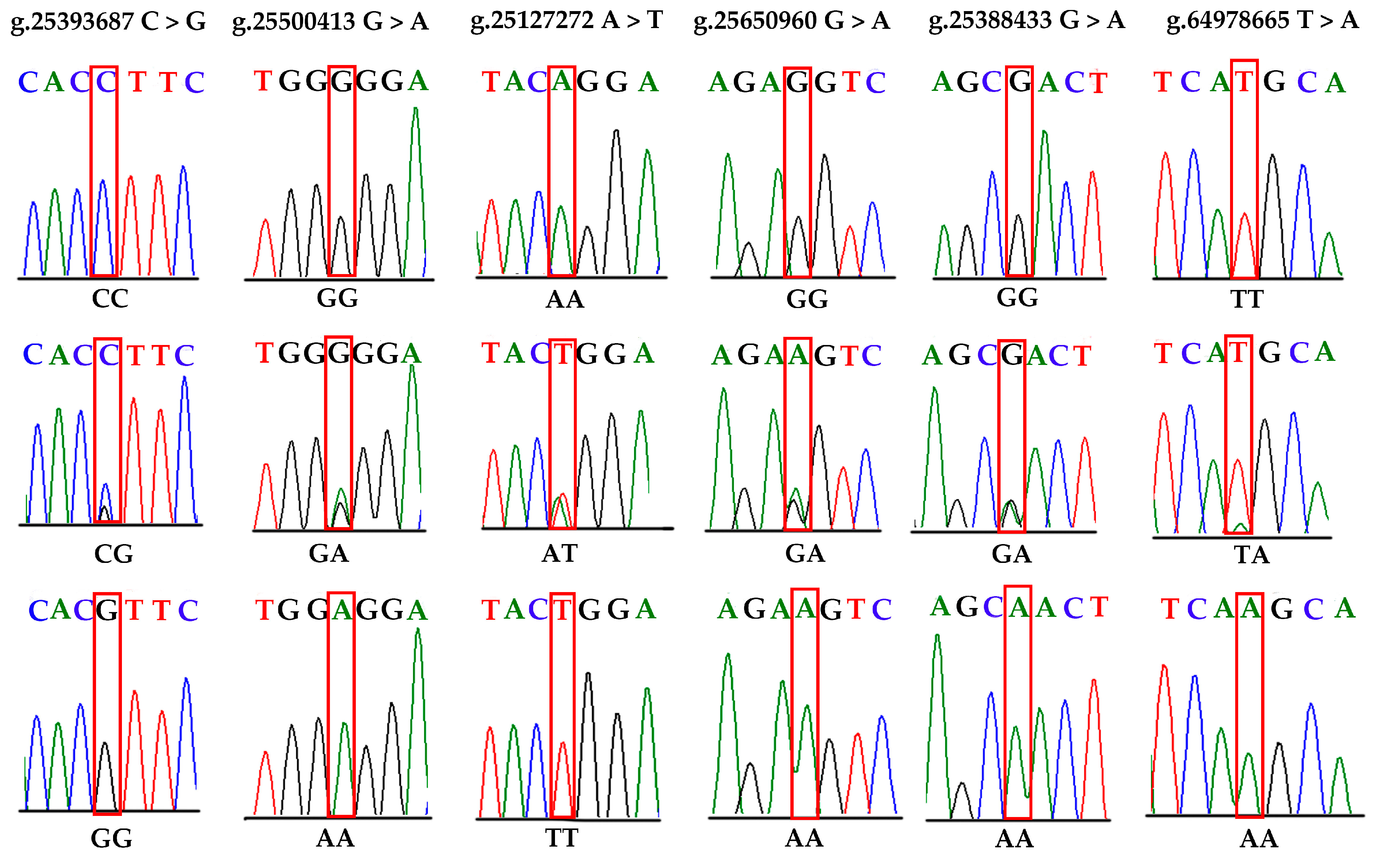Biomolecules 16 00282 g007 Biomolecules 16 00282 g007