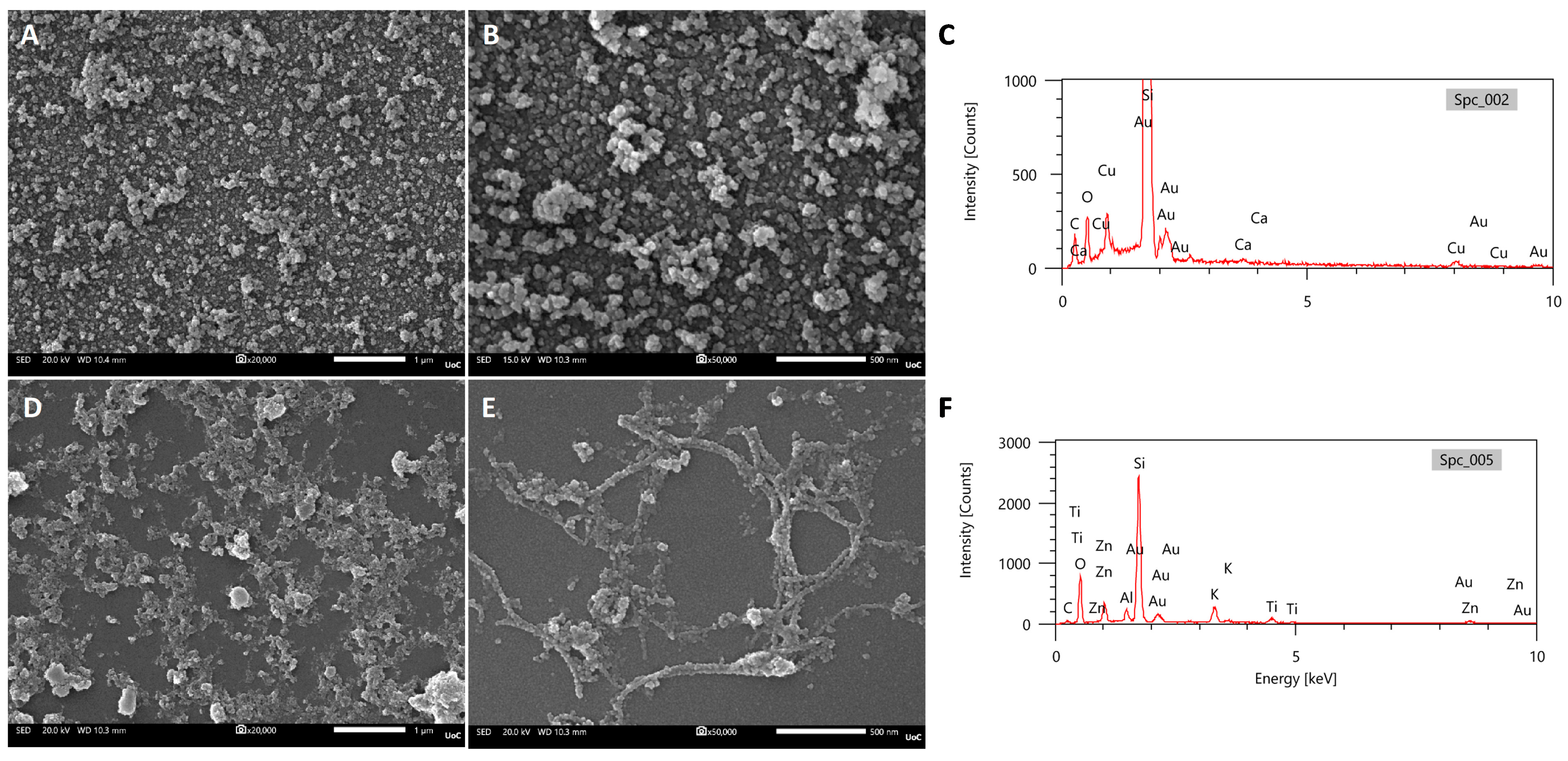 Biomolecules 16 00284 g010